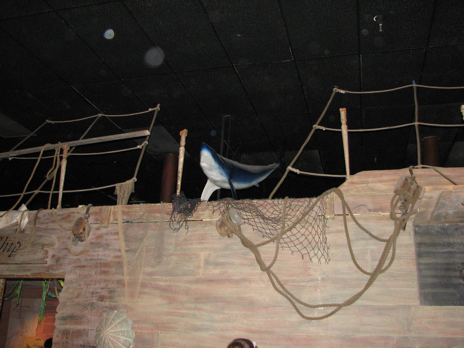 Ocean Explorer - Play Area