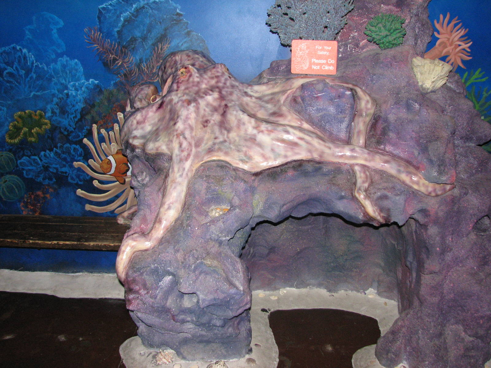 Ocean Explorer - Play Area