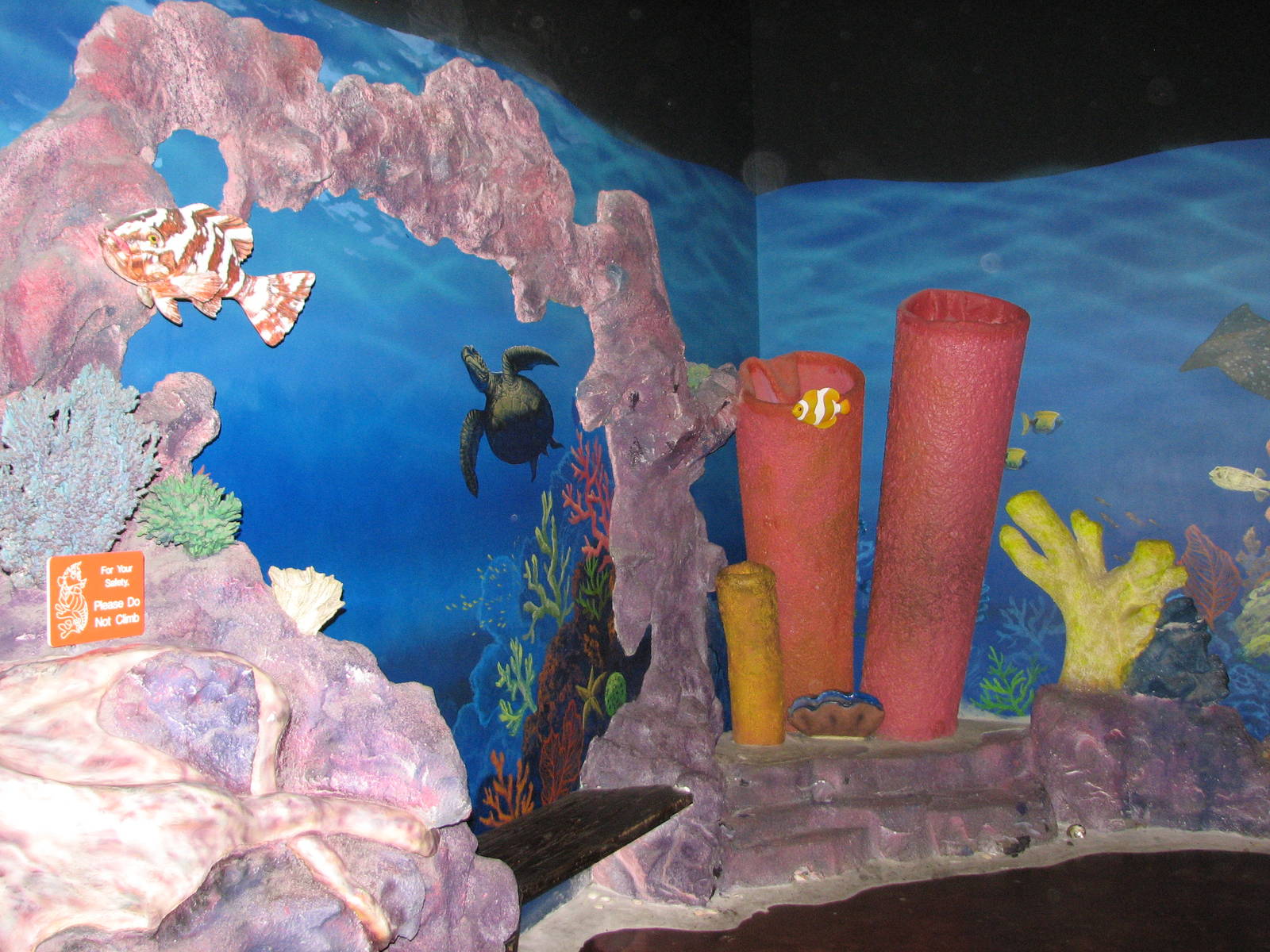 Ocean Explorer - Play Area