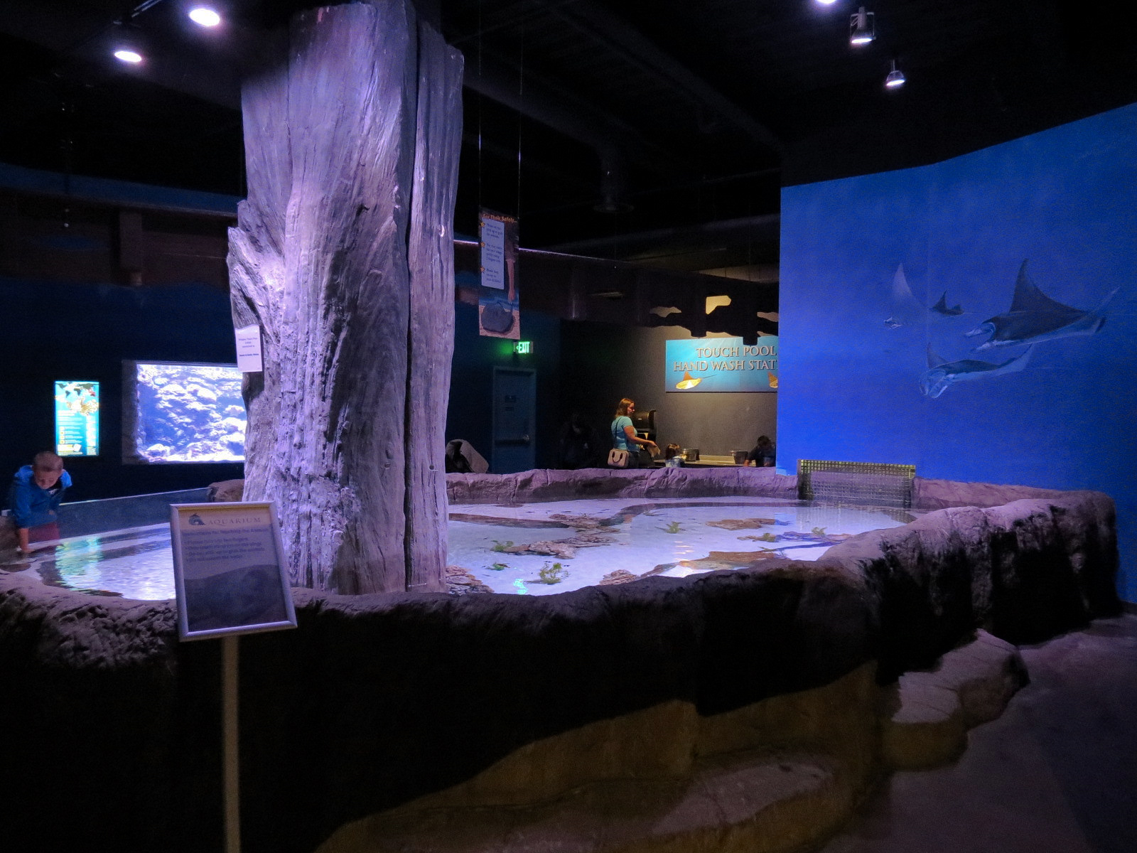 Ocean Explorer - Ray Touchpool