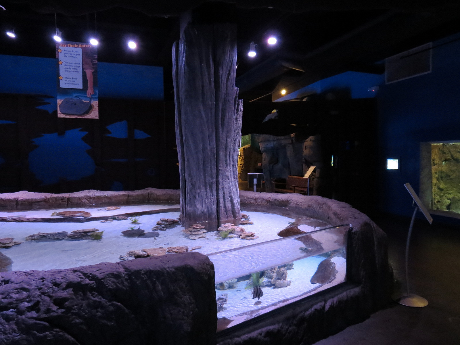 Ocean Explorer - Ray Touchpool