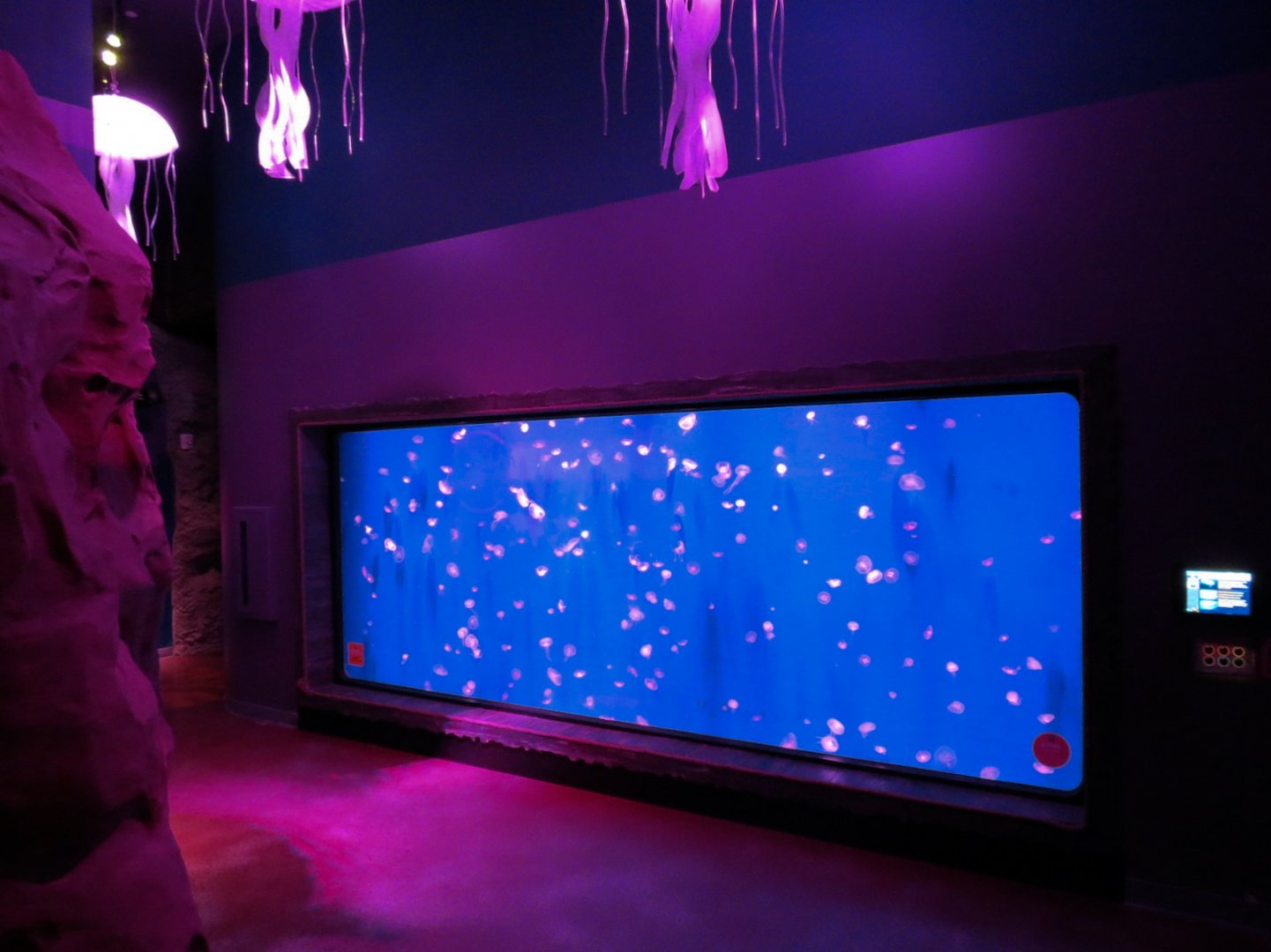 Ocean Invaders Exhibit