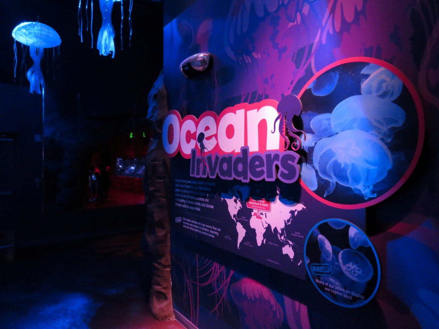 Ocean Invaders Sign
