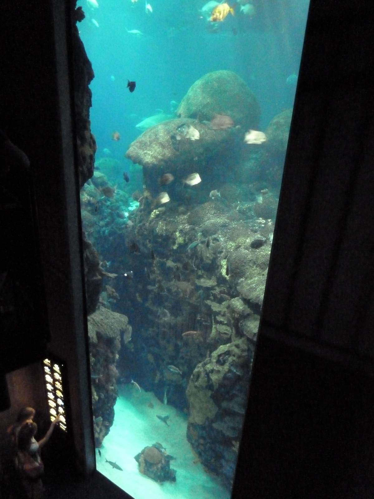 Ocean Journey Building