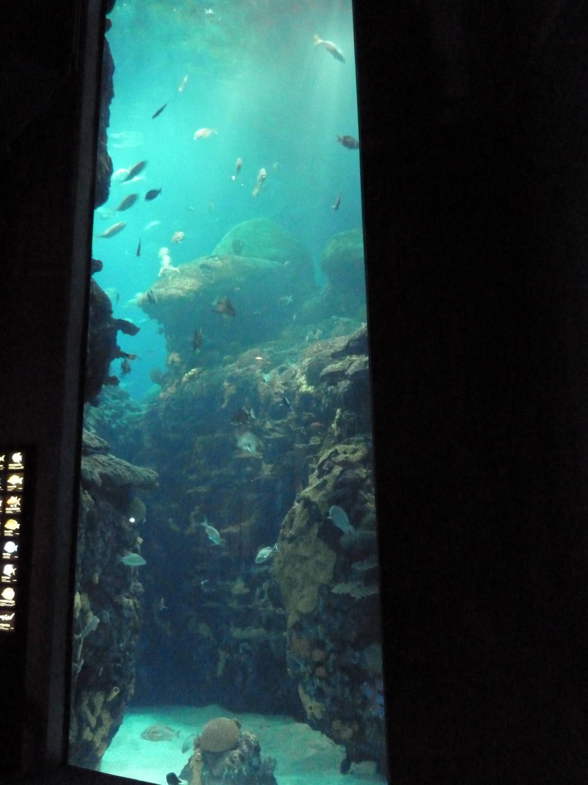 Ocean Journey Building