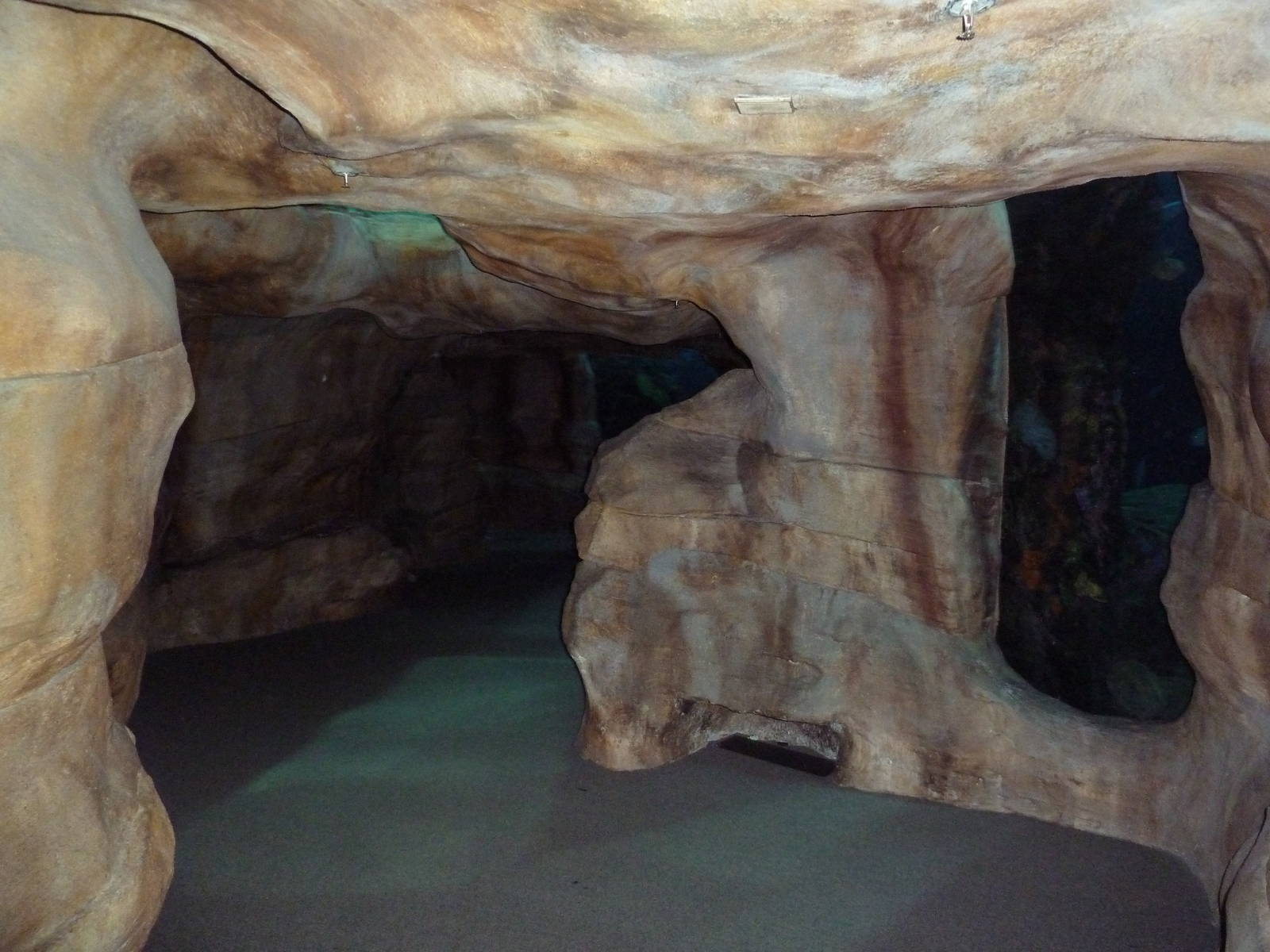 Ocean Journey Building