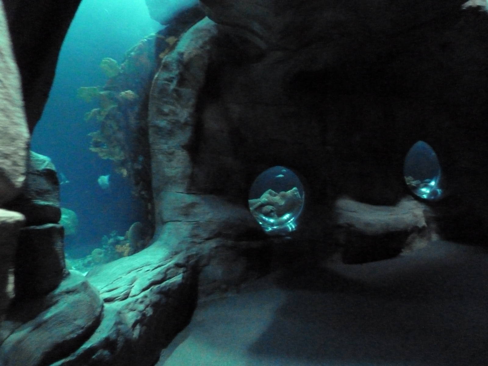 Ocean Journey Building