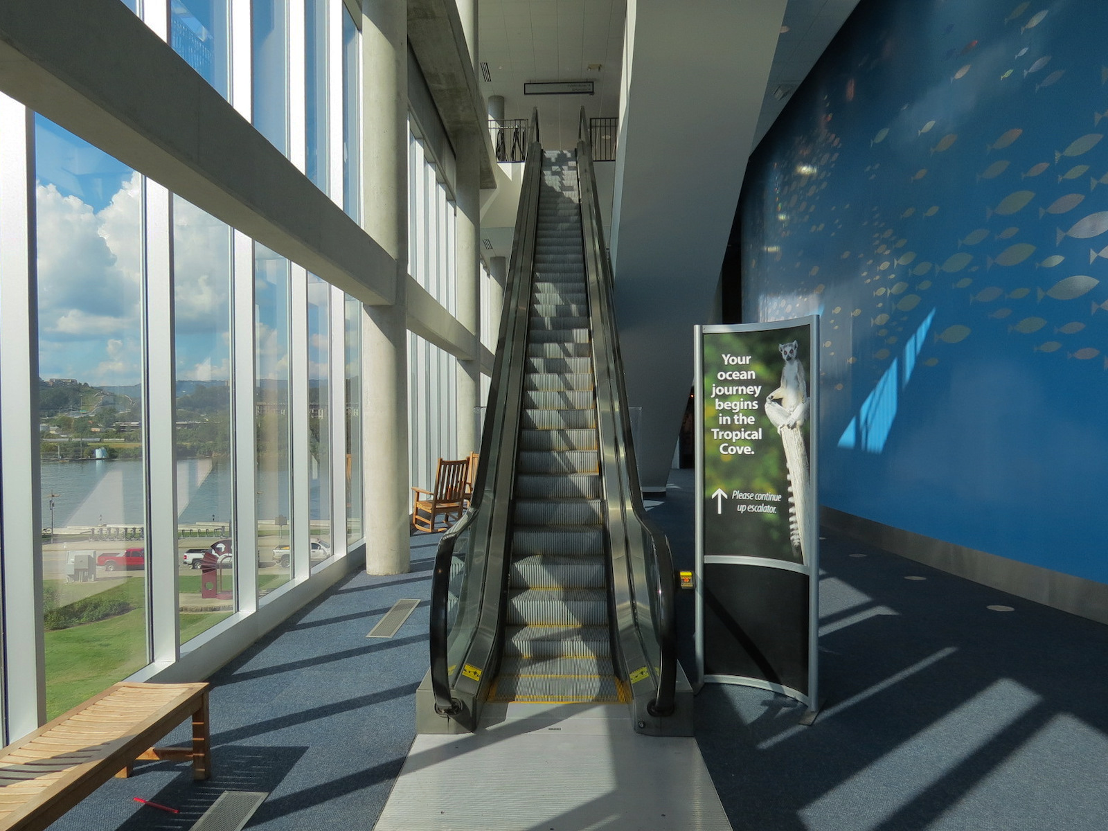 Ocean Journey - Escalator Lobby
