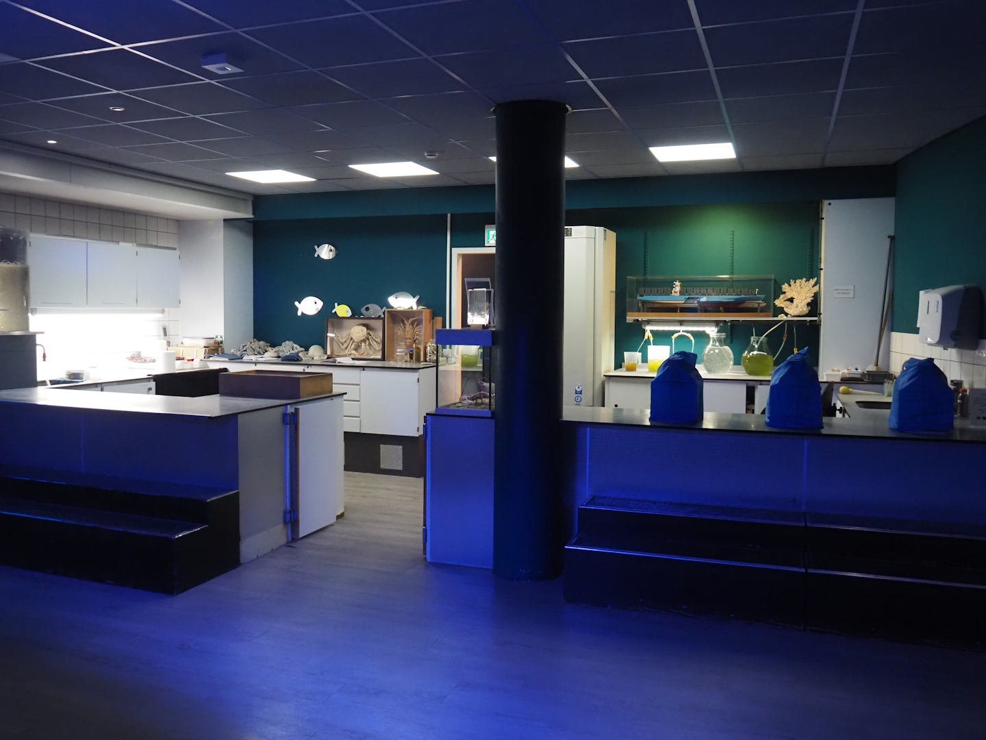 Ocean lab, 2024-06-30