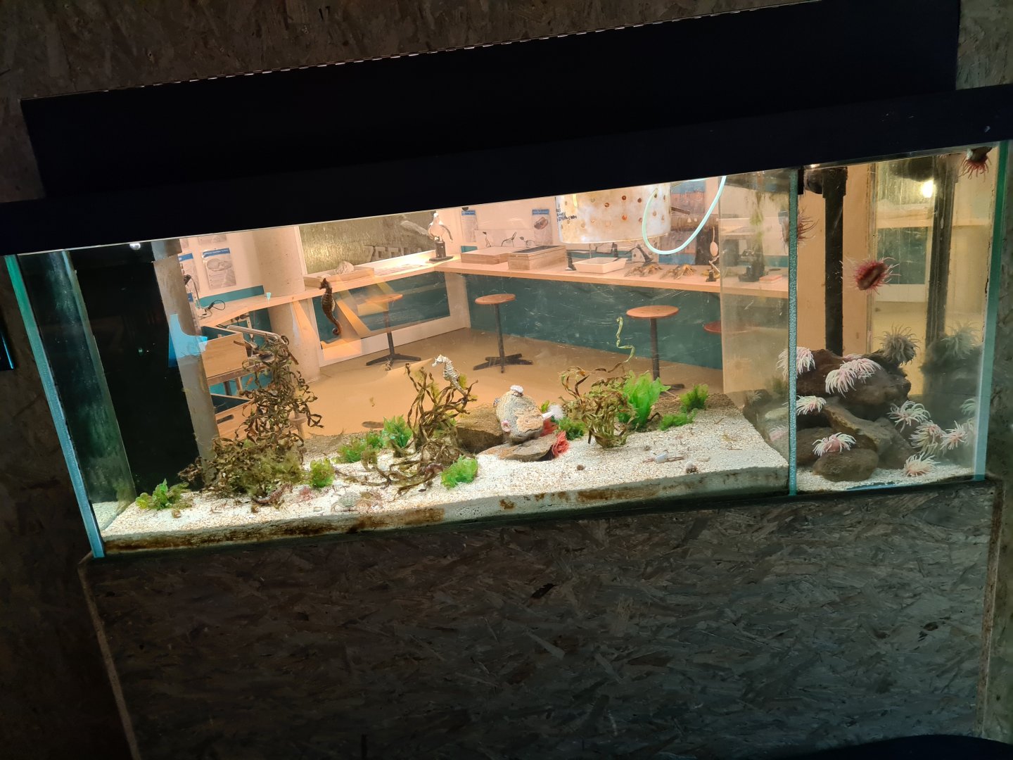 Ocean lab tank