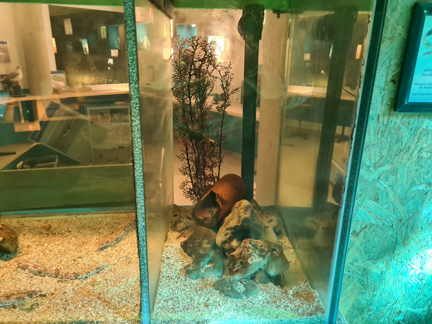 Ocean laboratory tank - Separation enclosure