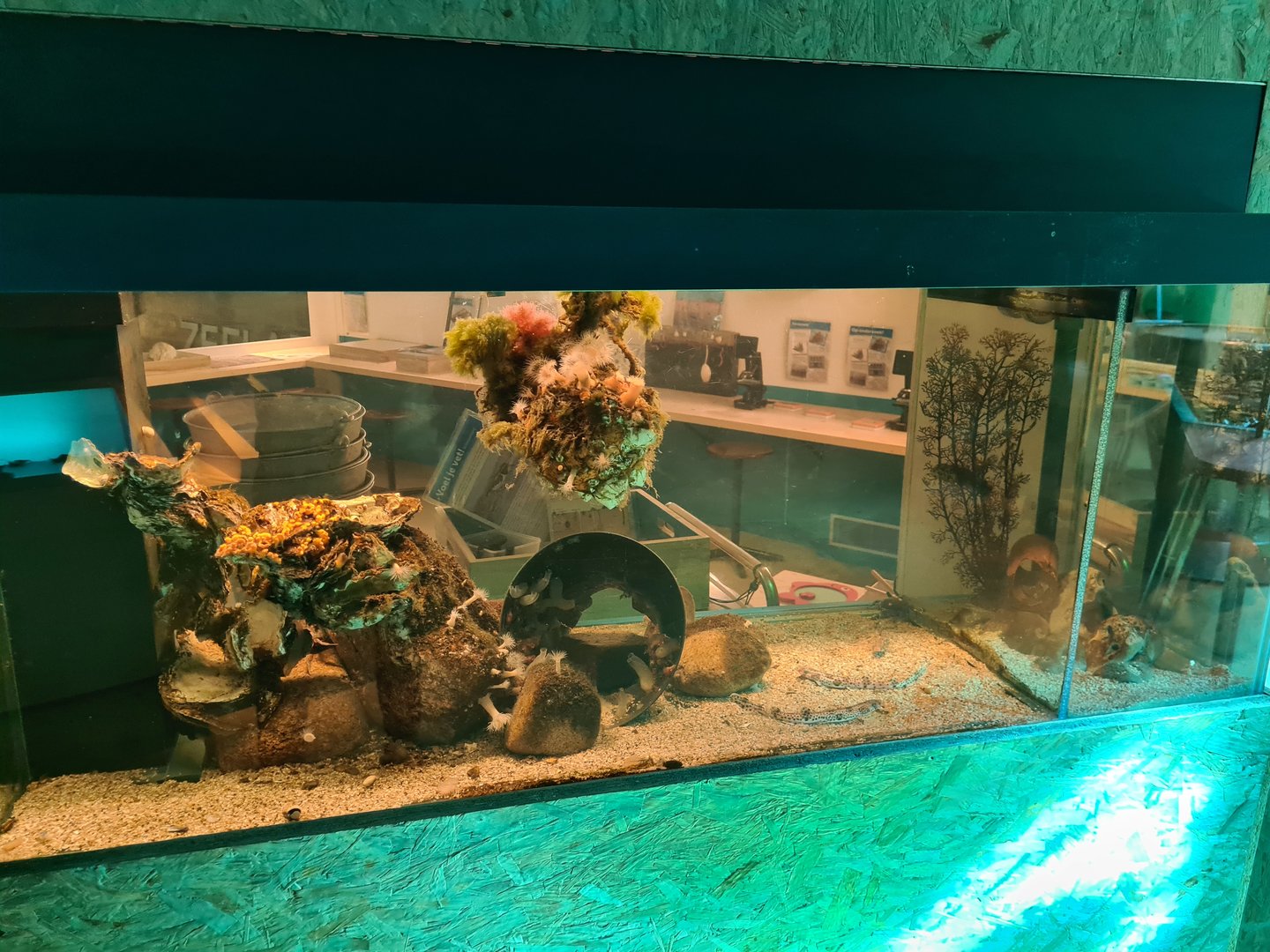 Ocean laboratory tank