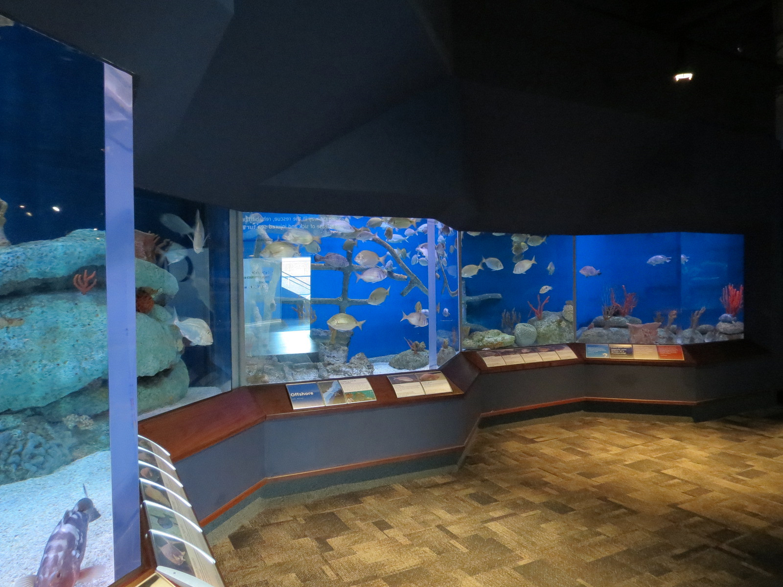 Ocean - Offshore Exhibits