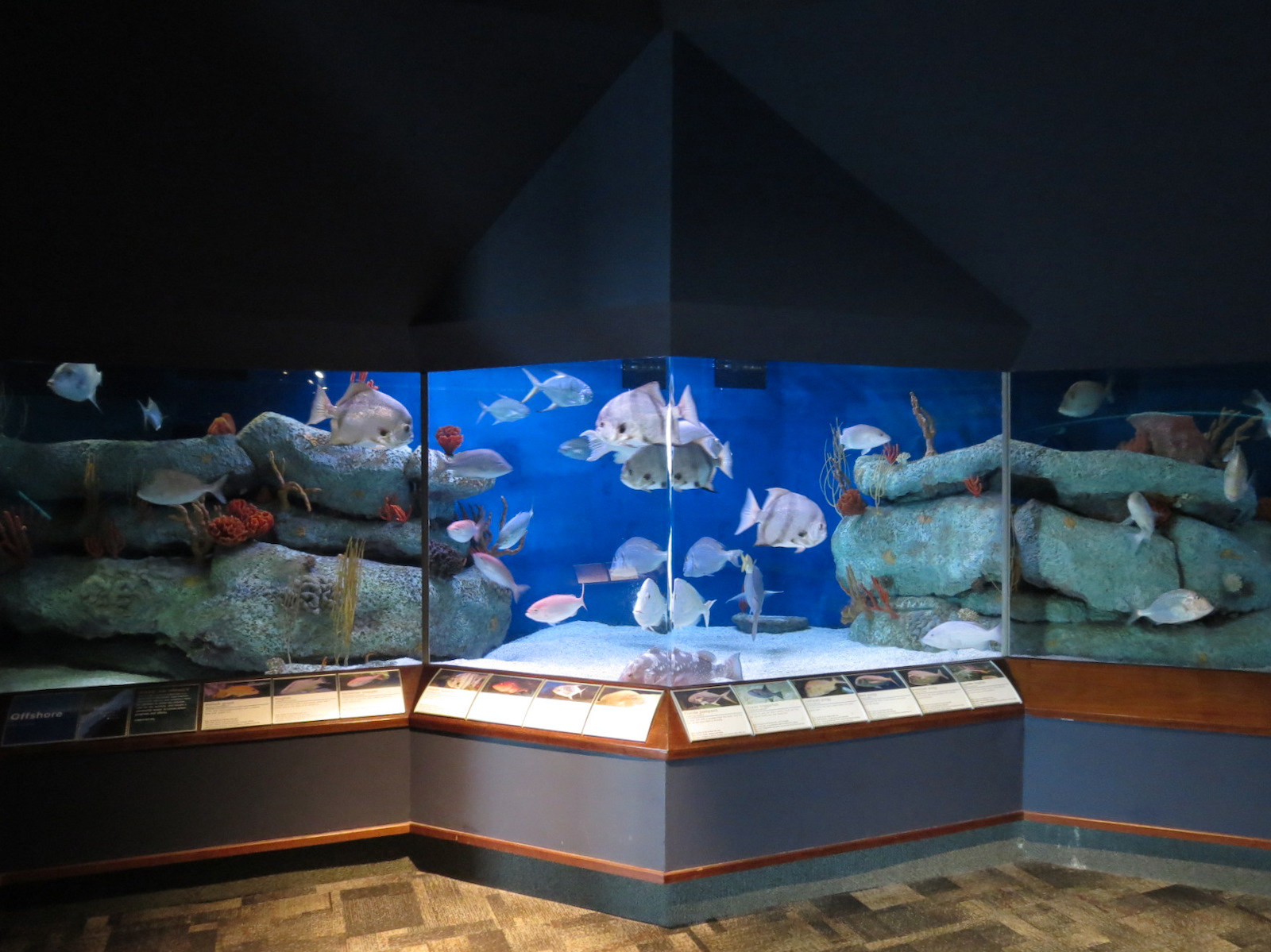 Ocean - Offshore Exhibits
