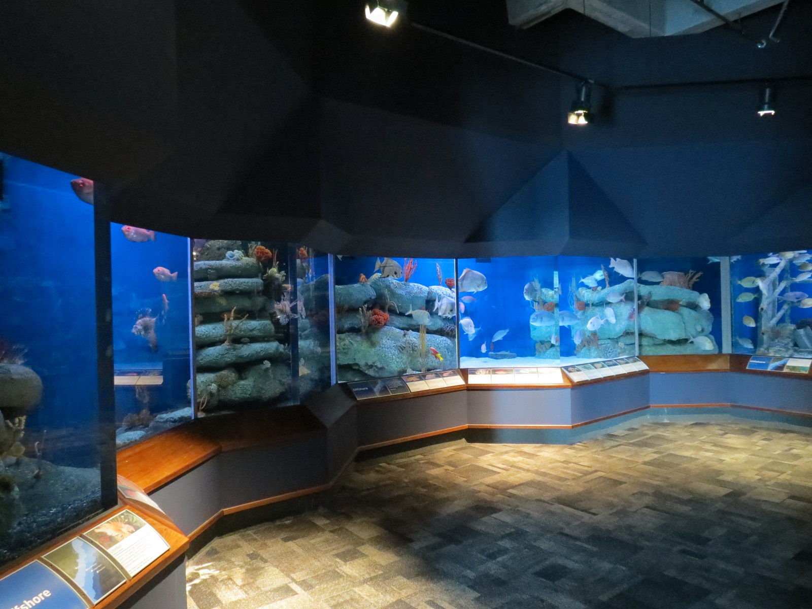 Ocean - Offshore Exhibits