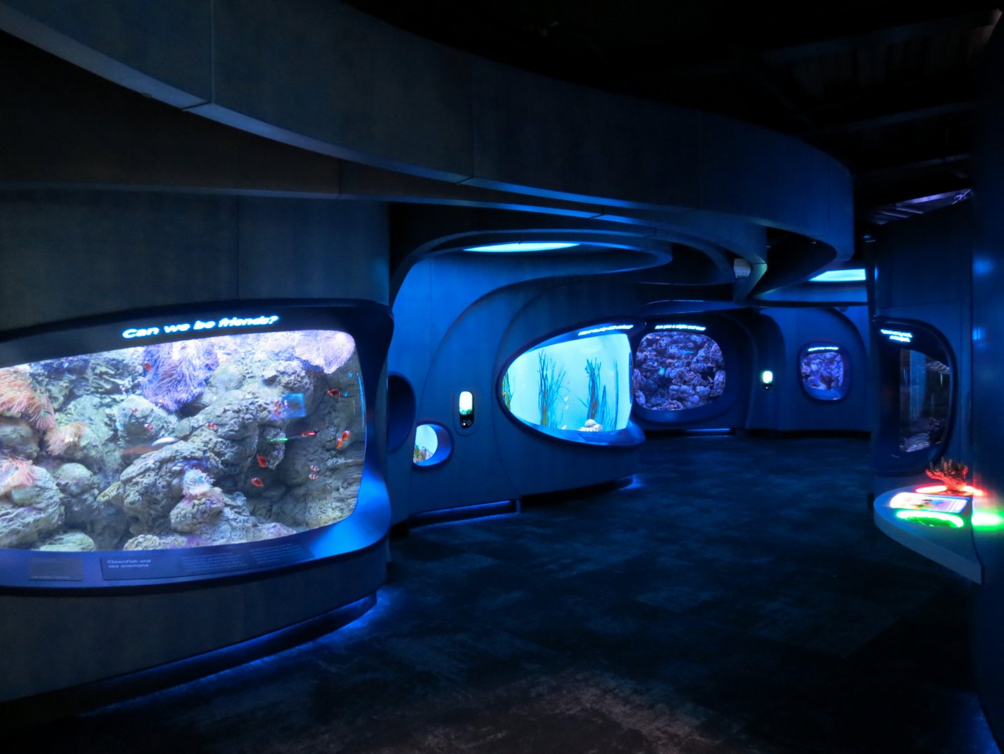 Ocean Pavilion - At Home In The Ocean Exhibit Hall