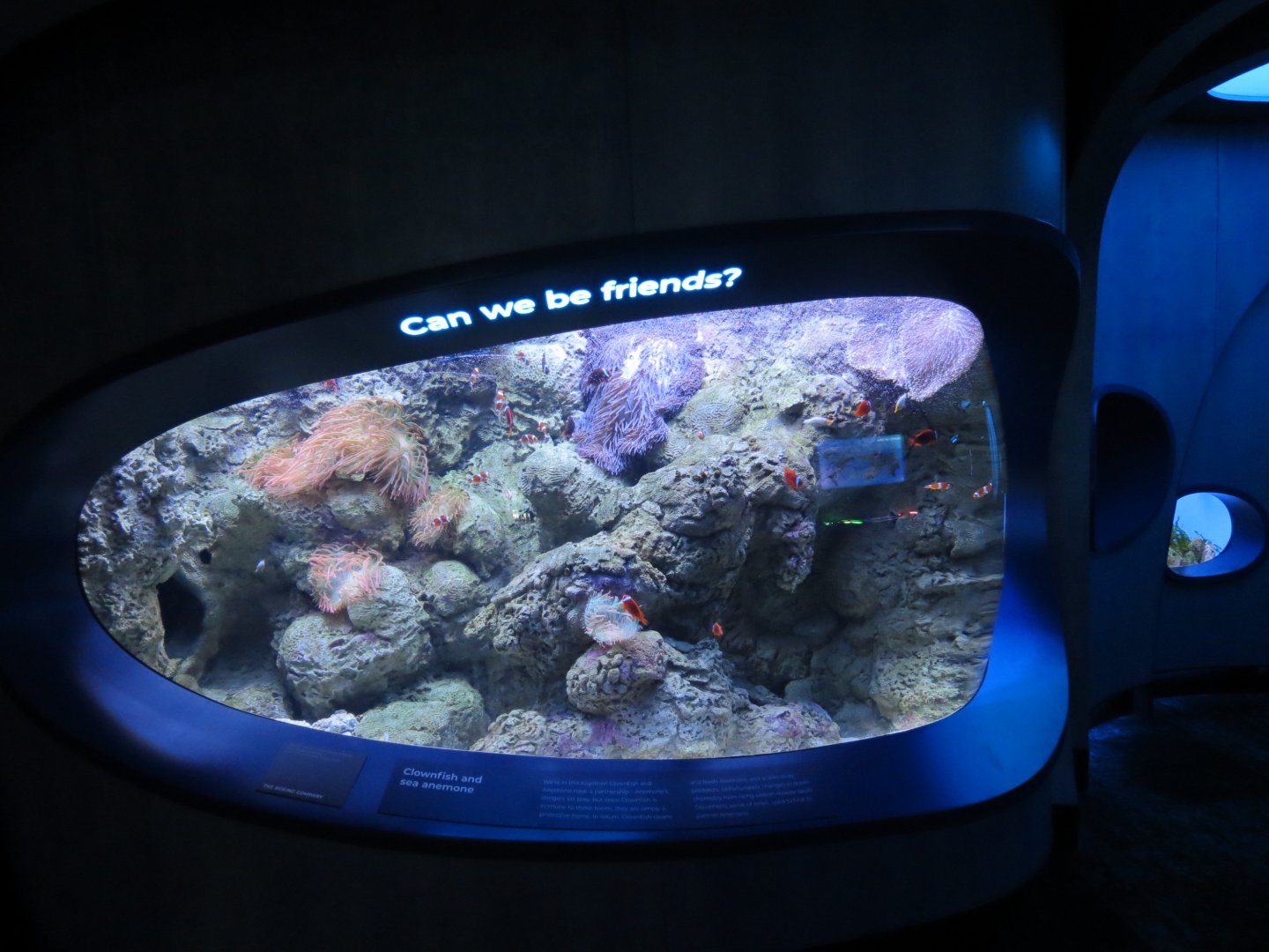 Ocean Pavilion - At Home In The Ocean Exhibit Hall