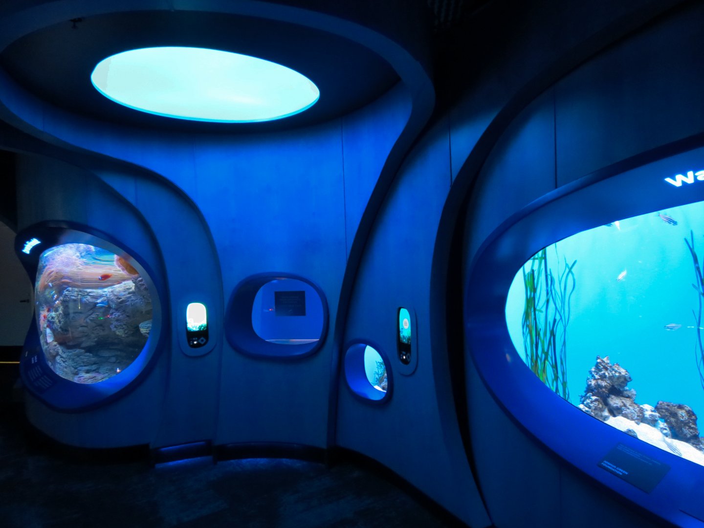Ocean Pavilion - At Home In The Ocean Exhibit Hall