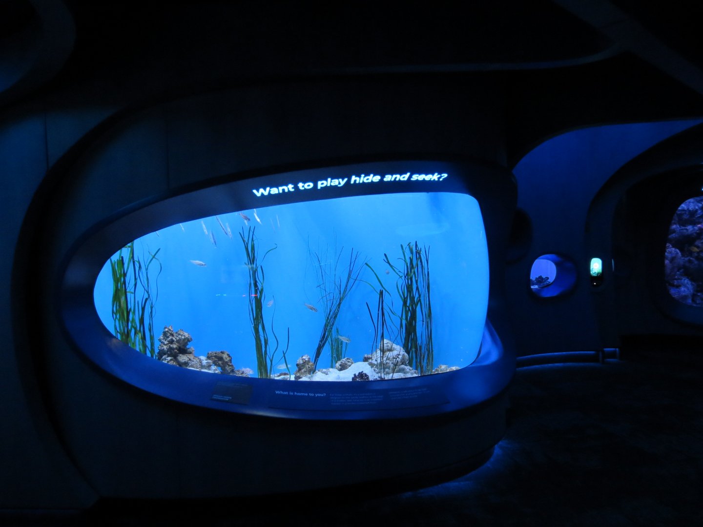 Ocean Pavilion - At Home In The Ocean Exhibit Hall