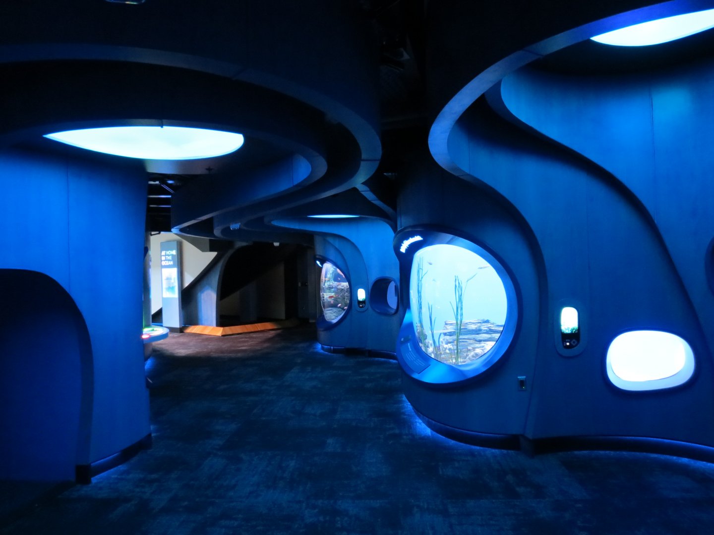 Ocean Pavilion - At Home In The Ocean Exhibit Hall