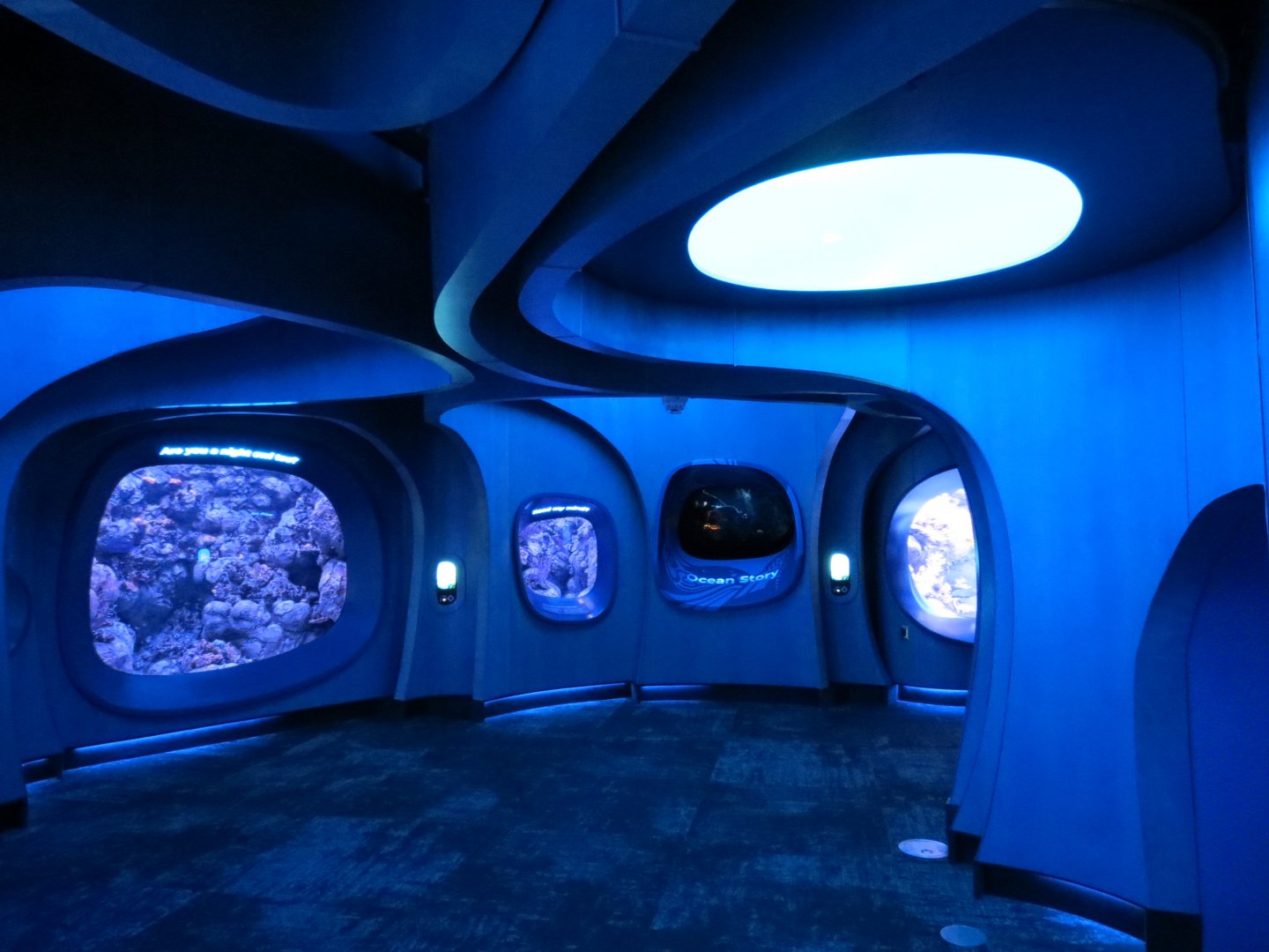 Ocean Pavilion - At Home In The Ocean Exhibit Hall