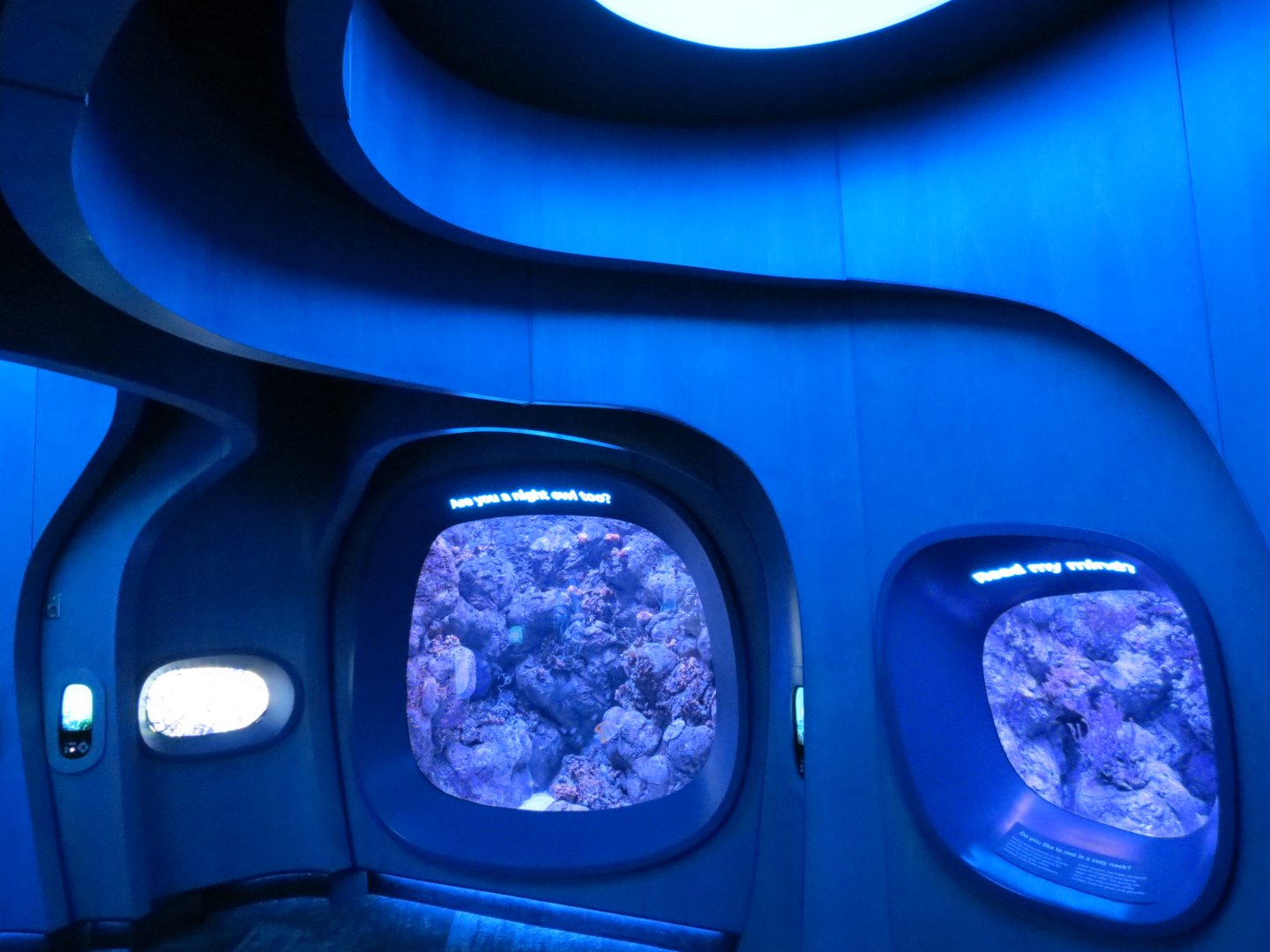 Ocean Pavilion - At Home In The Ocean Exhibit Hall