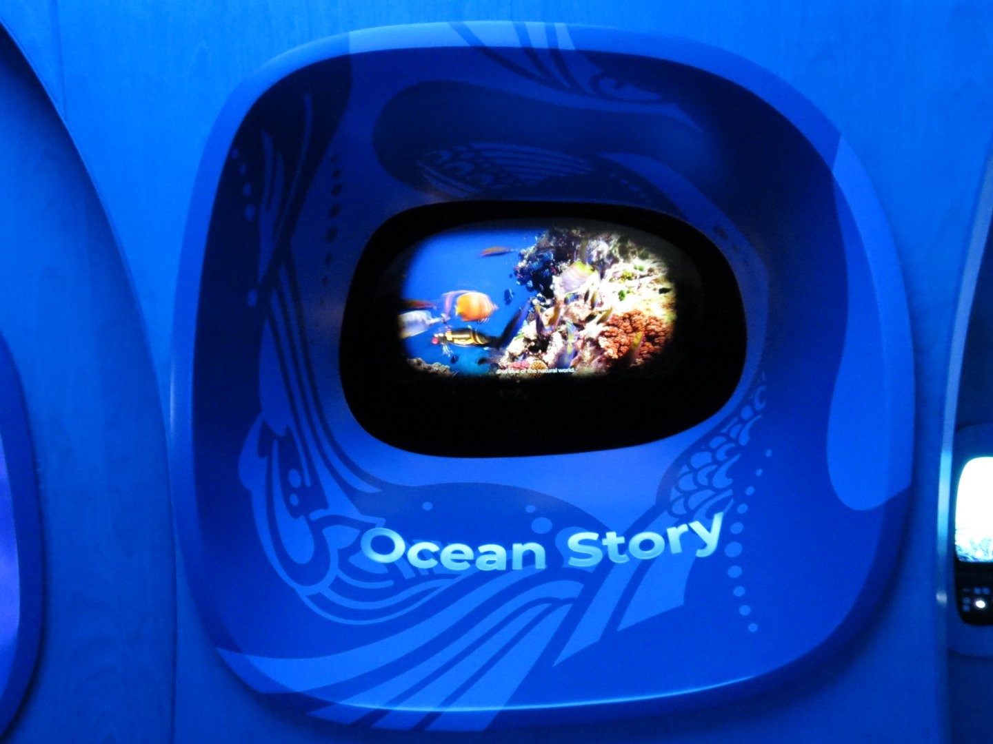 Ocean Pavilion - At Home In The Ocean Exhibit Hall