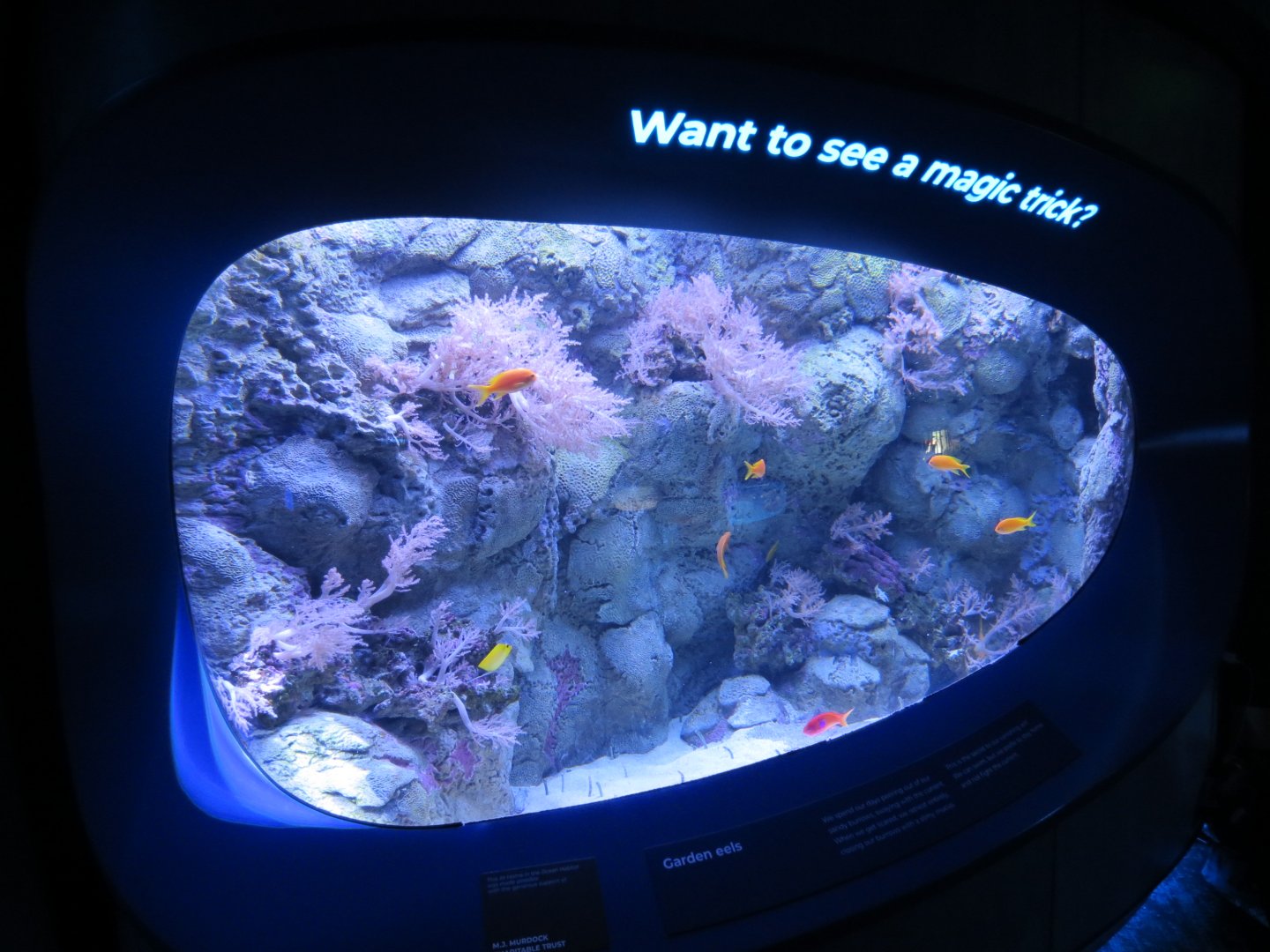 Ocean Pavilion - At Home In The Ocean Exhibit Hall