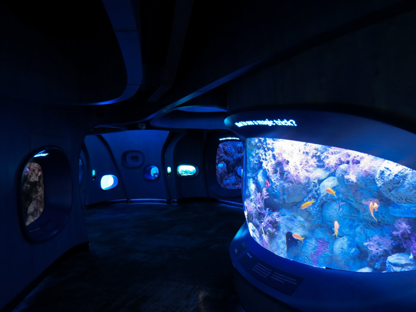 Ocean Pavilion - At Home In The Ocean Exhibit Hall