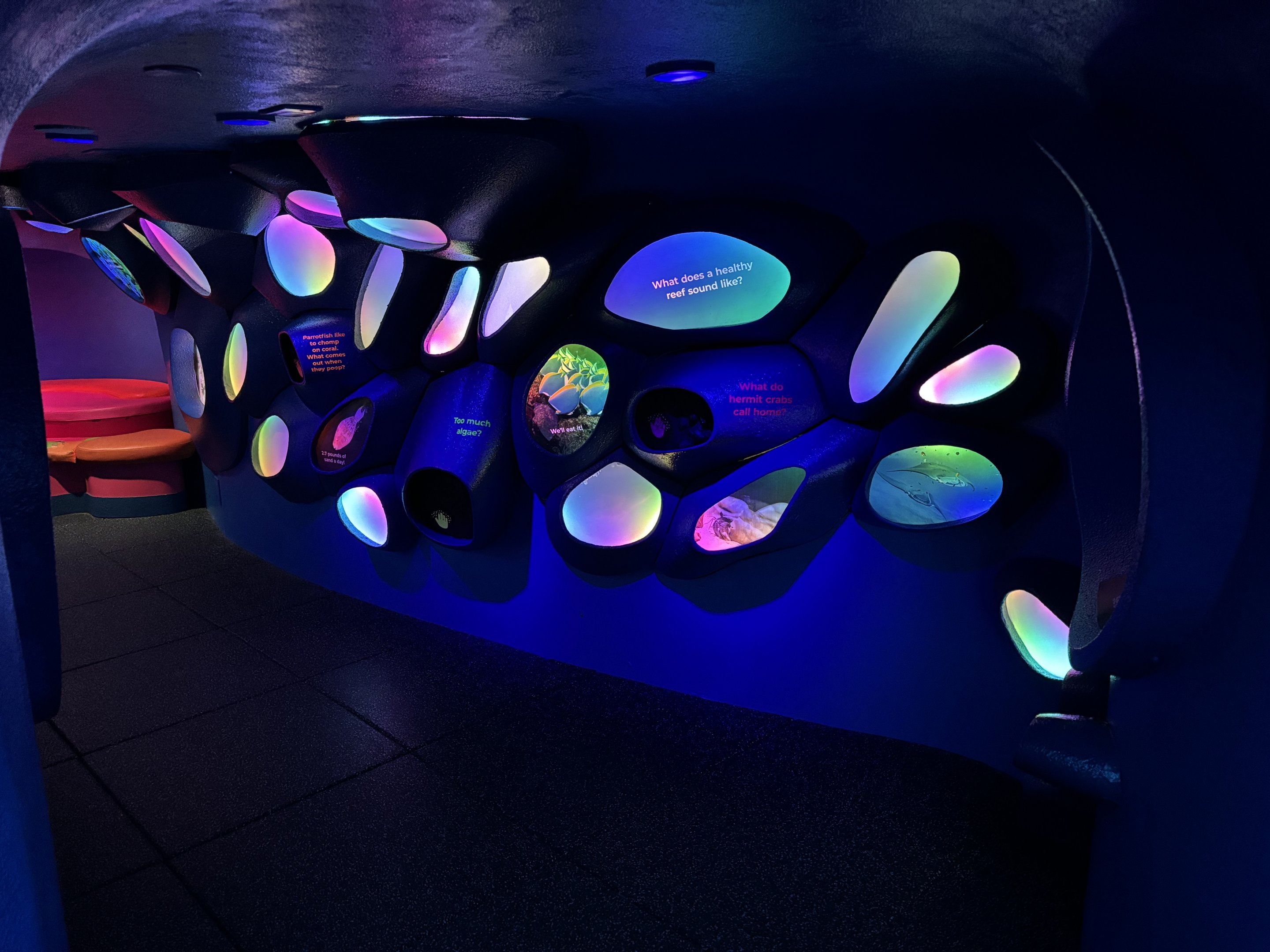 Ocean Pavilion - cave-like zone