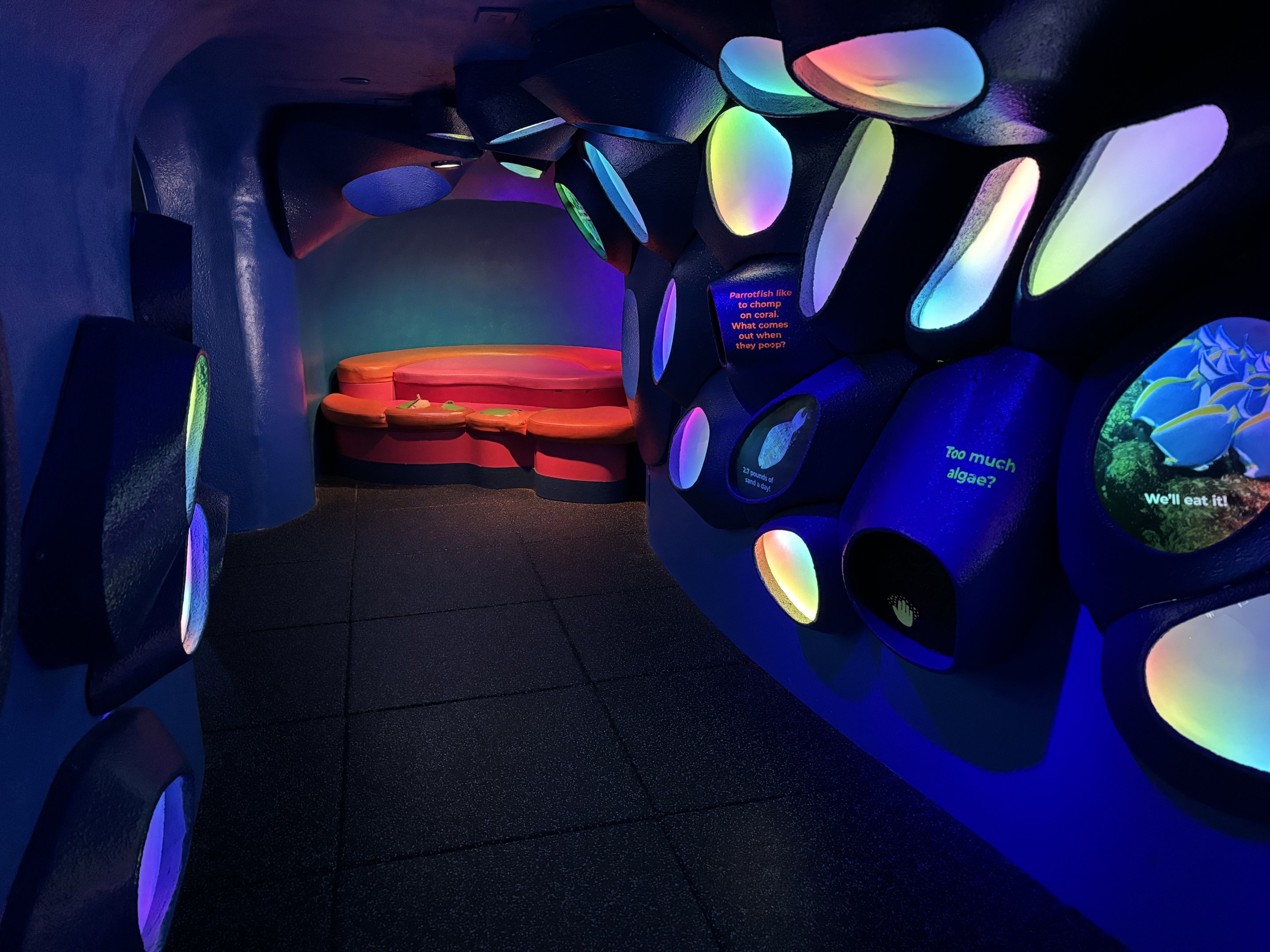 Ocean Pavilion - cave-like zone