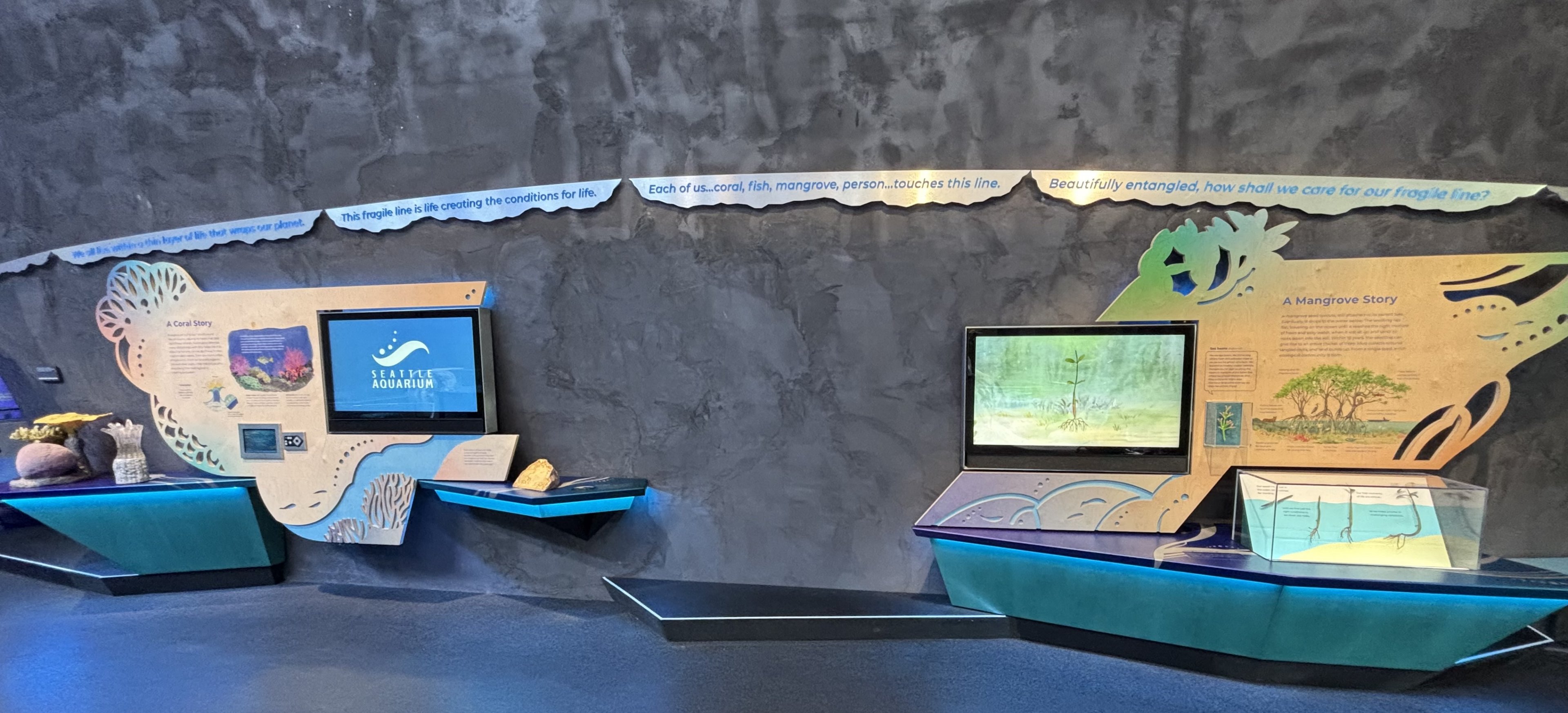 Ocean Pavilion - Coral + Mangrove Stories