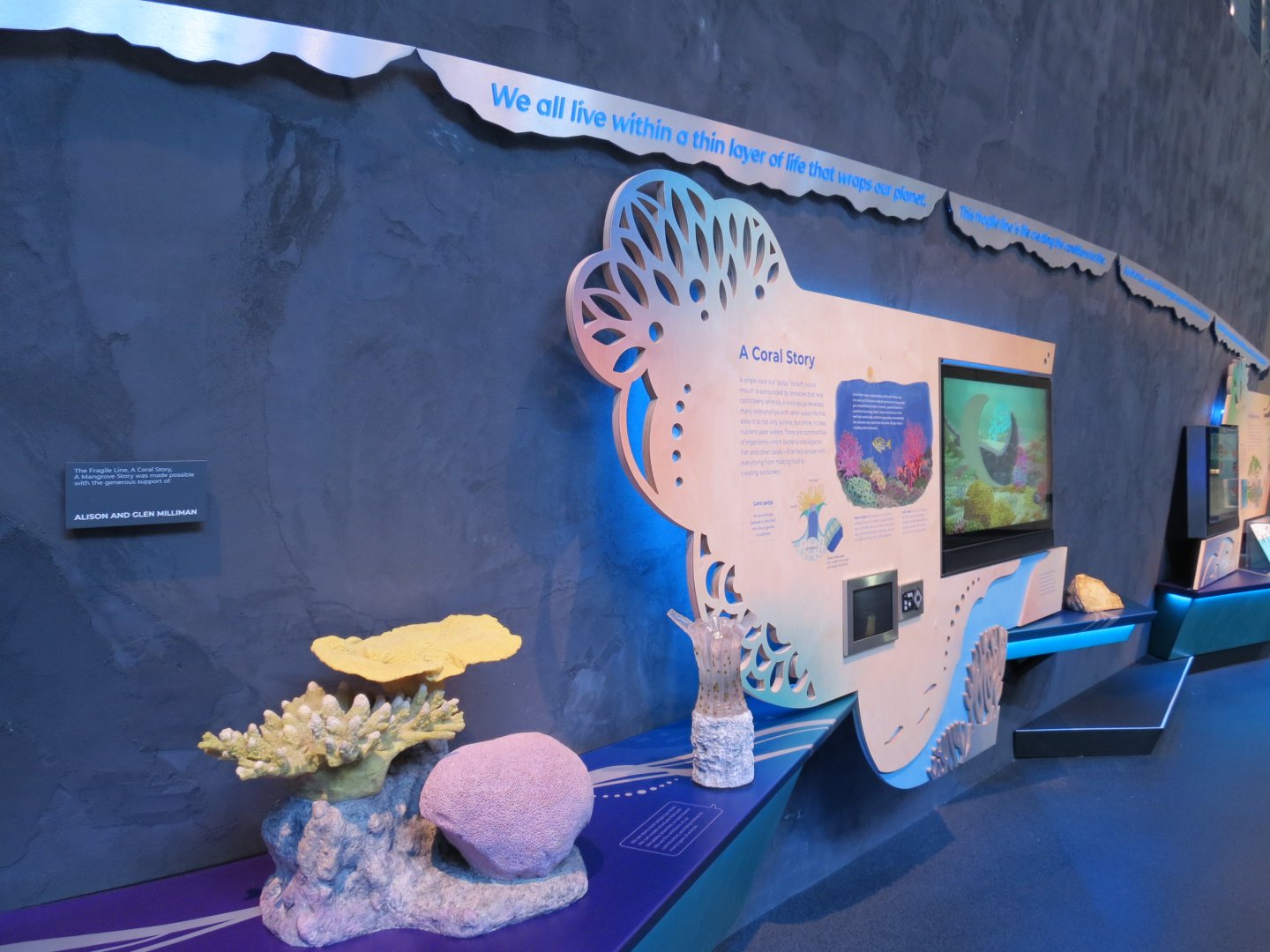 Ocean Pavilion - Coral Reef Infographics