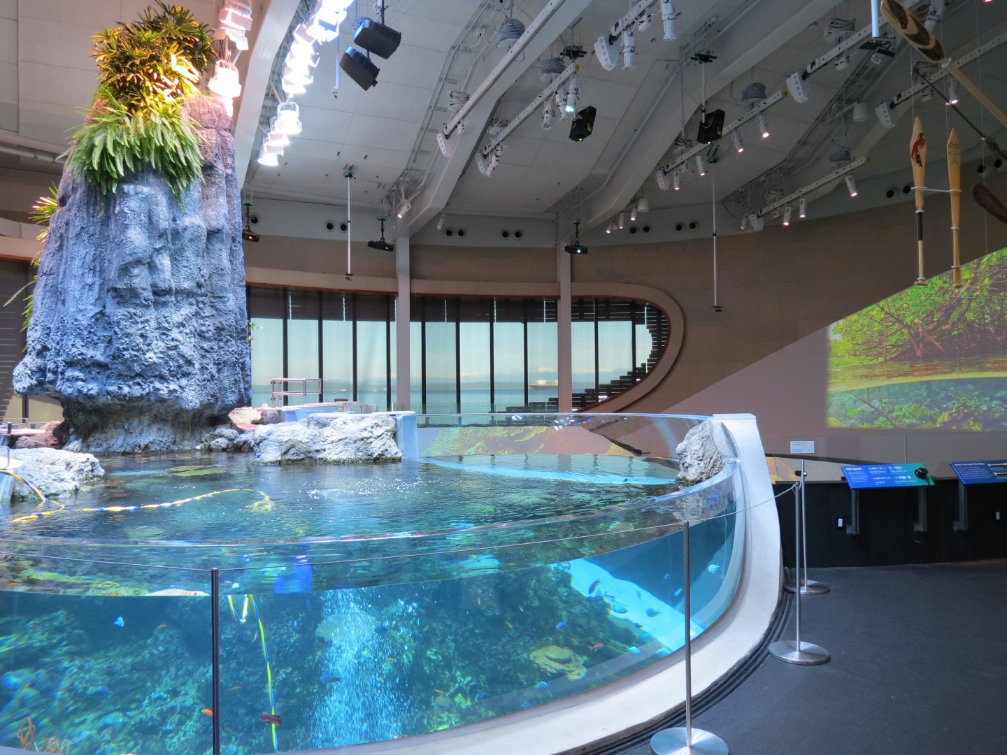 Ocean Pavilion - Coral Reef/Into The Depths Exhibit