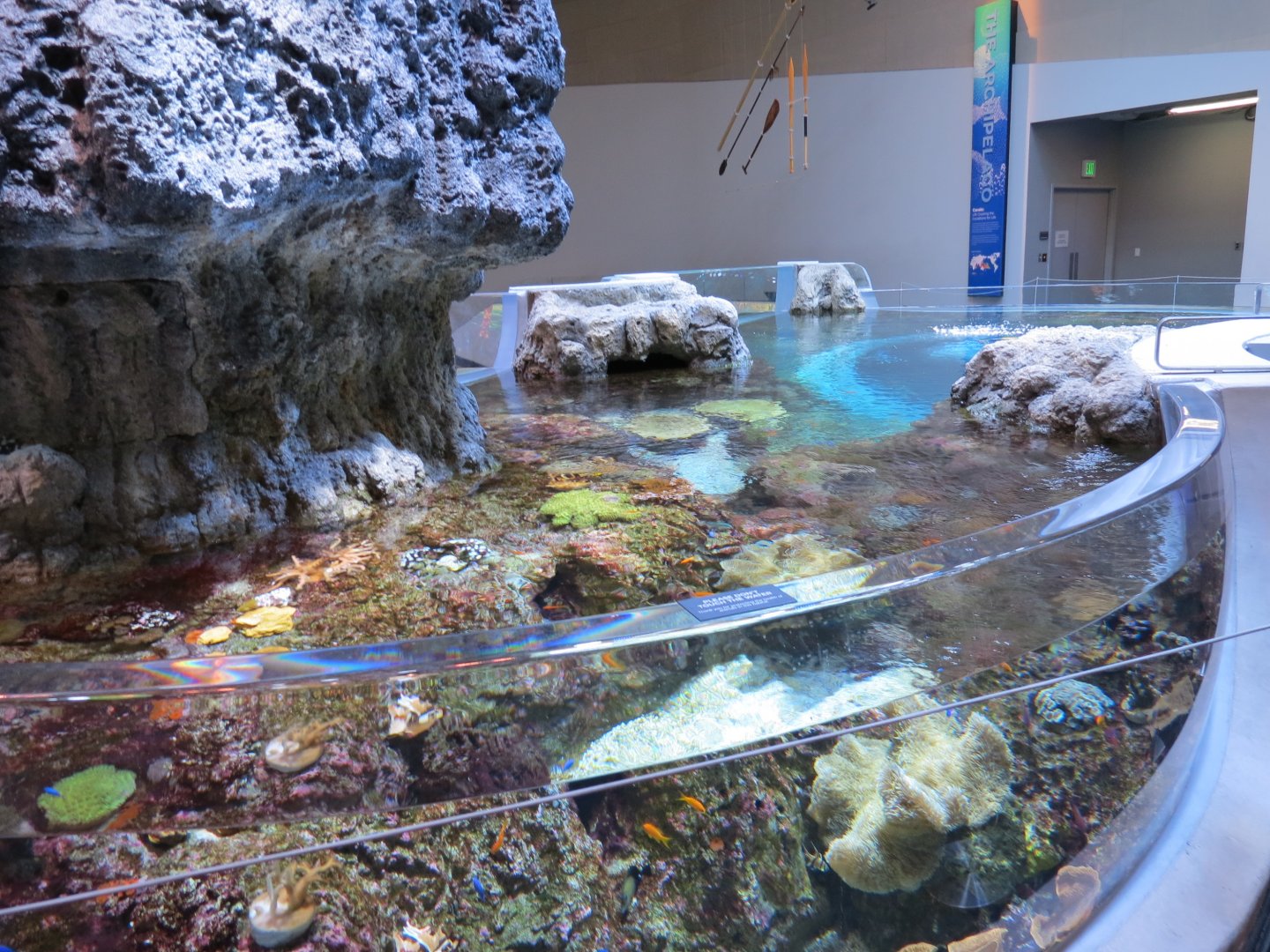 Ocean Pavilion - Coral Reef/Into The Depths Exhibit