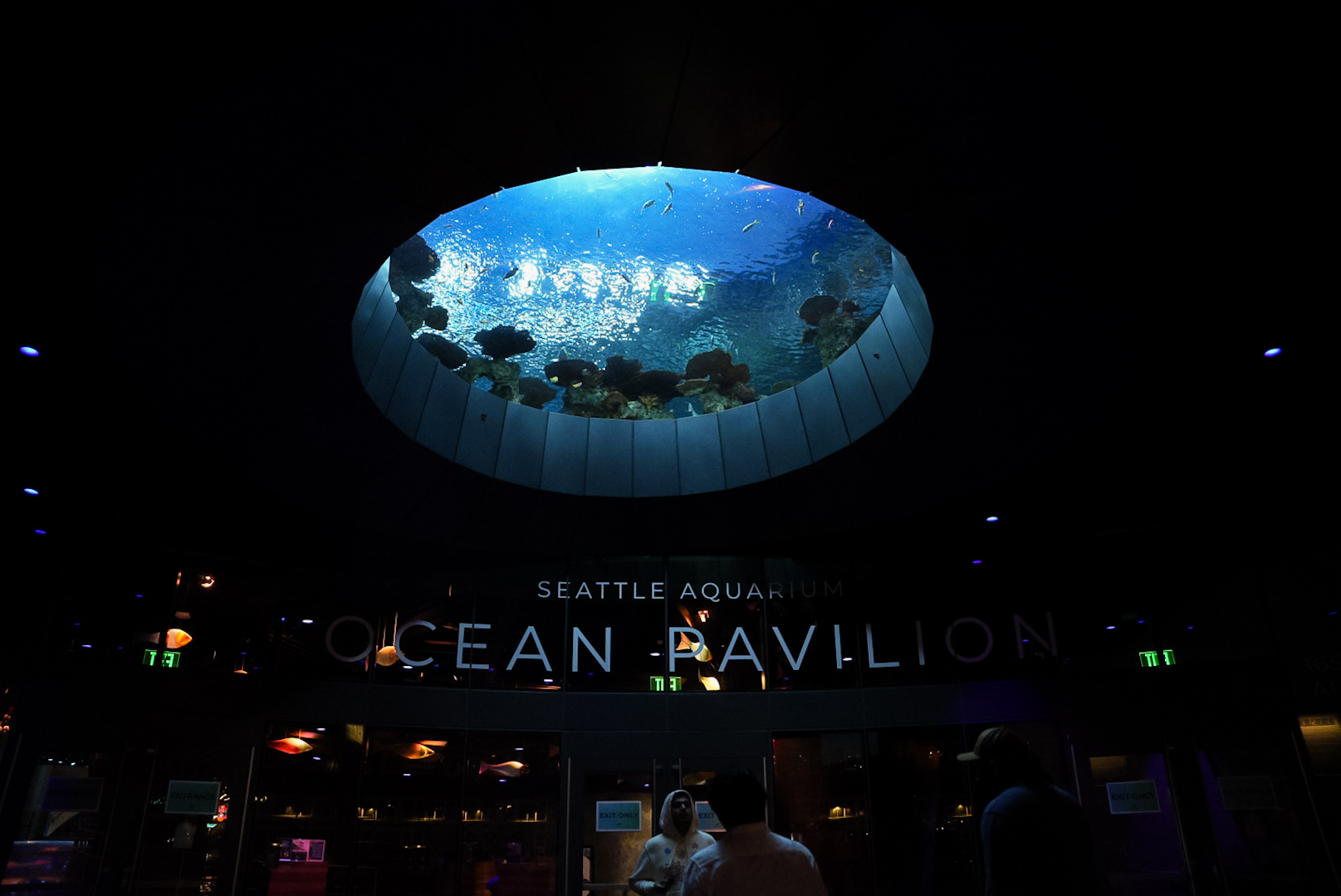 Ocean Pavilion entrance (night view)