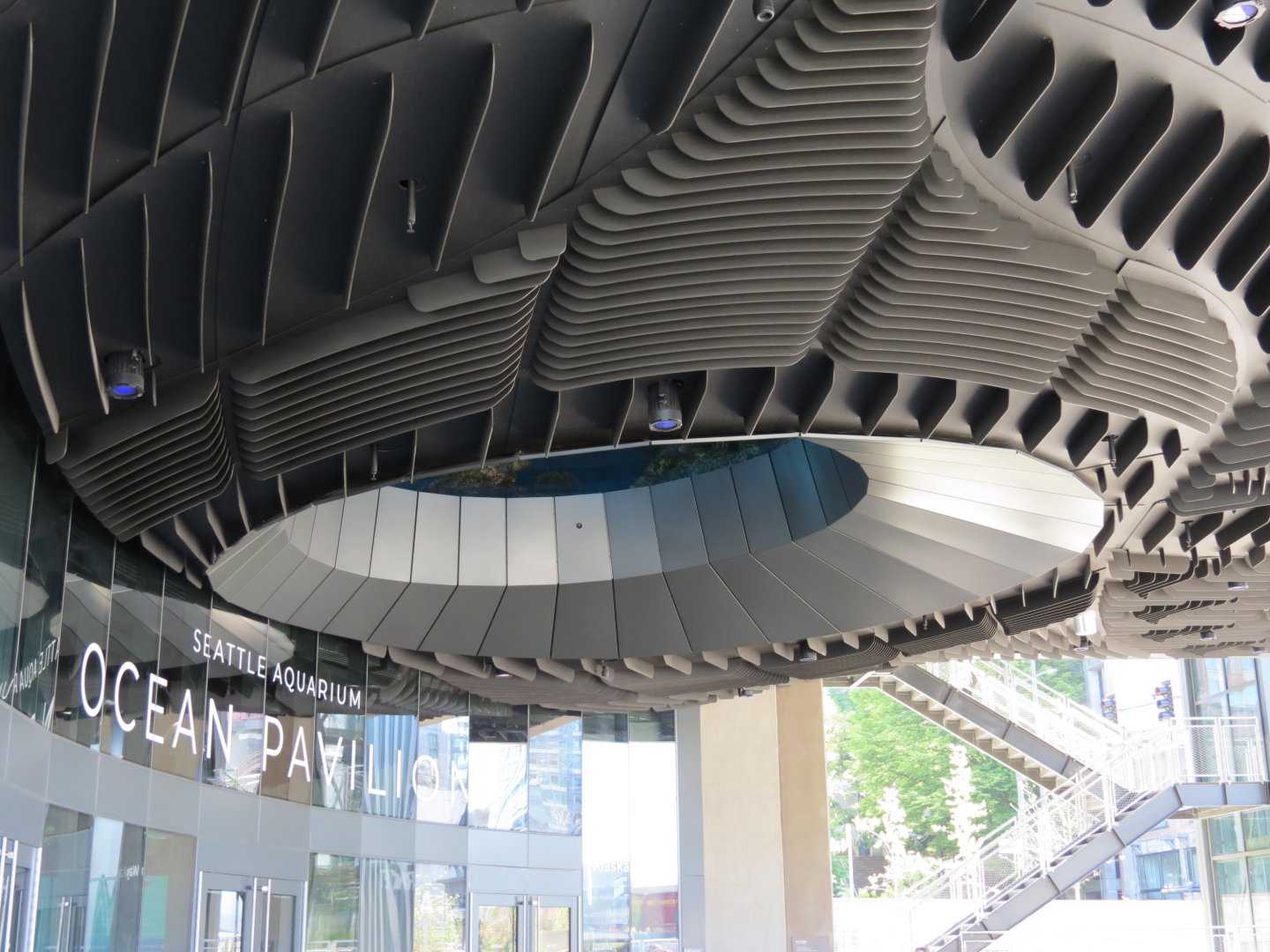 Ocean Pavilion - Entry and Reef Preview Ceiling Window