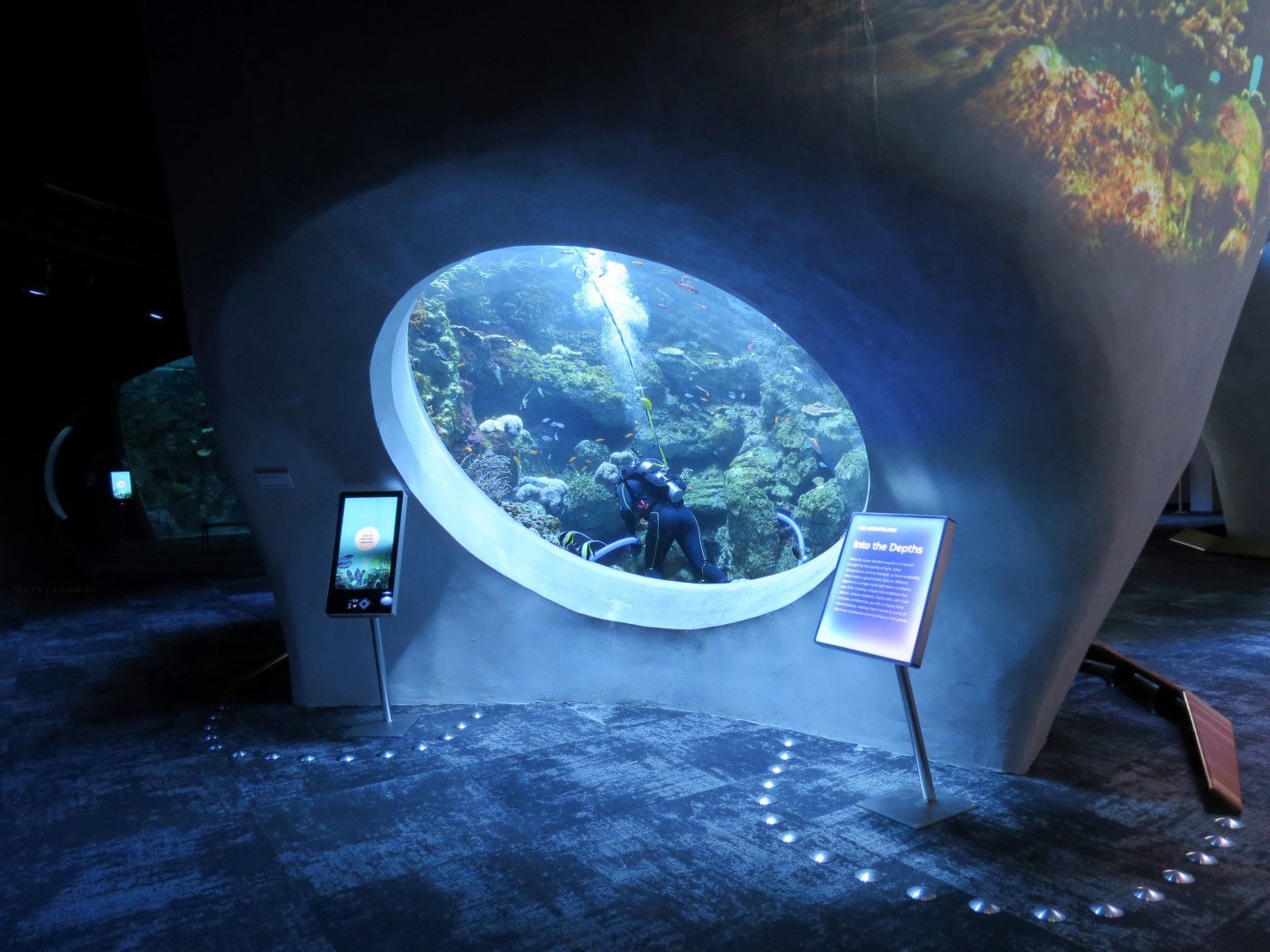 Ocean Pavilion - Into The Depths/Coral Reef Exhibit
