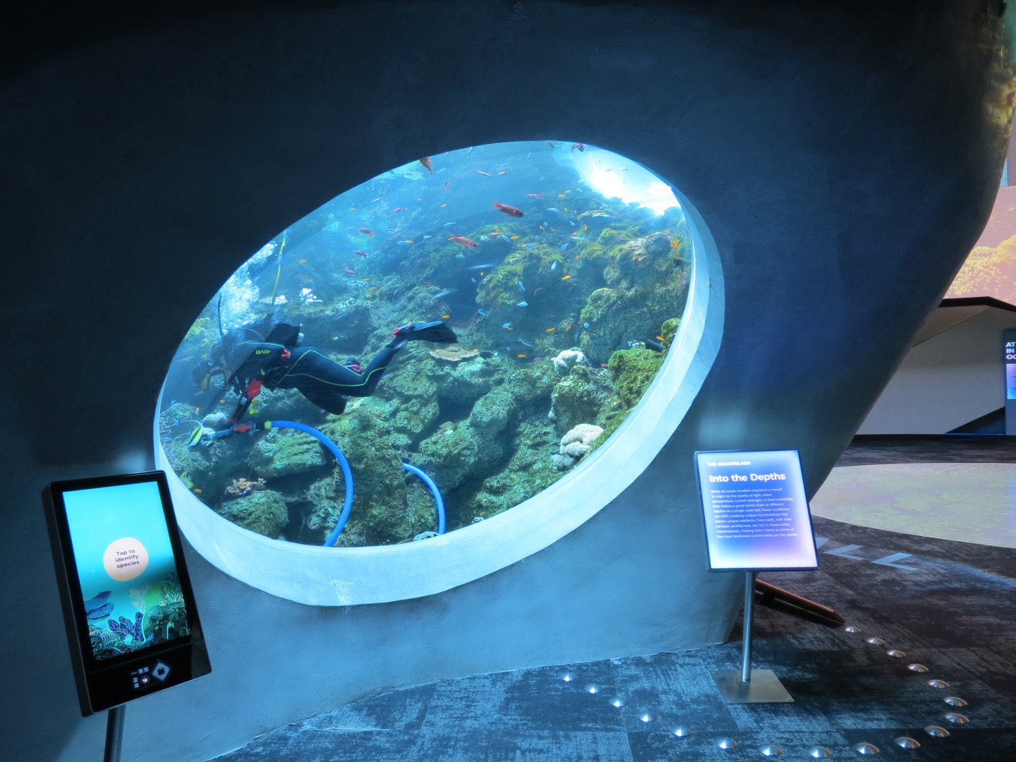 Ocean Pavilion - Into The Depths/Coral Reef Exhibit