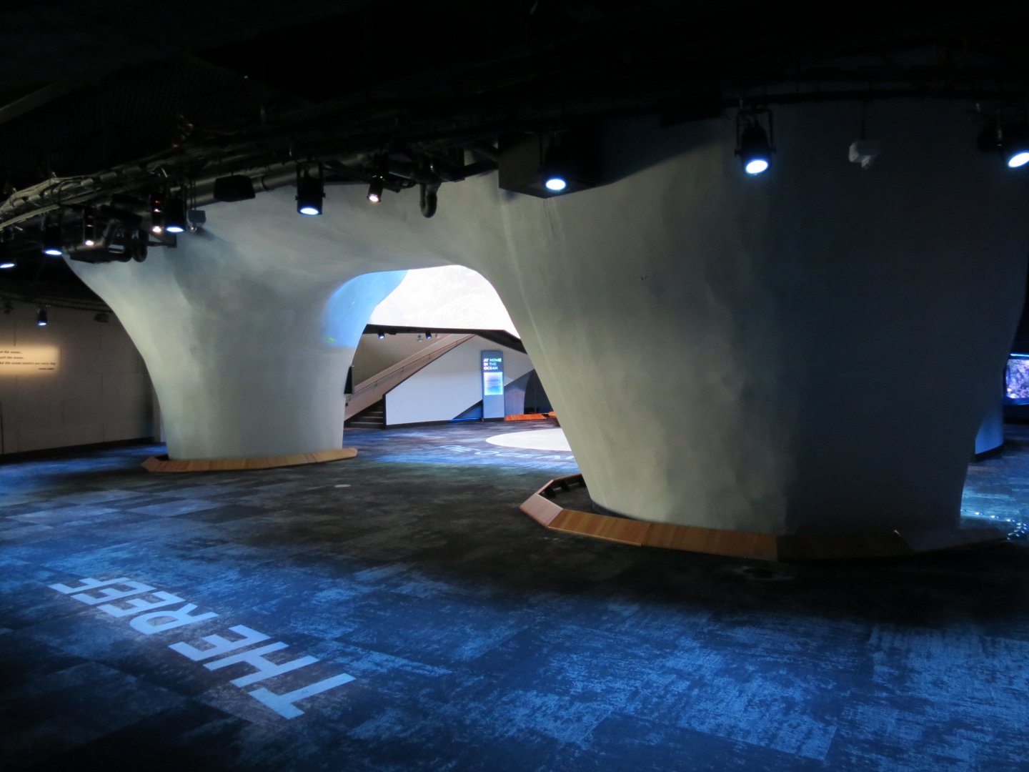 Ocean Pavilion - Into The Depths Exhibit Backside