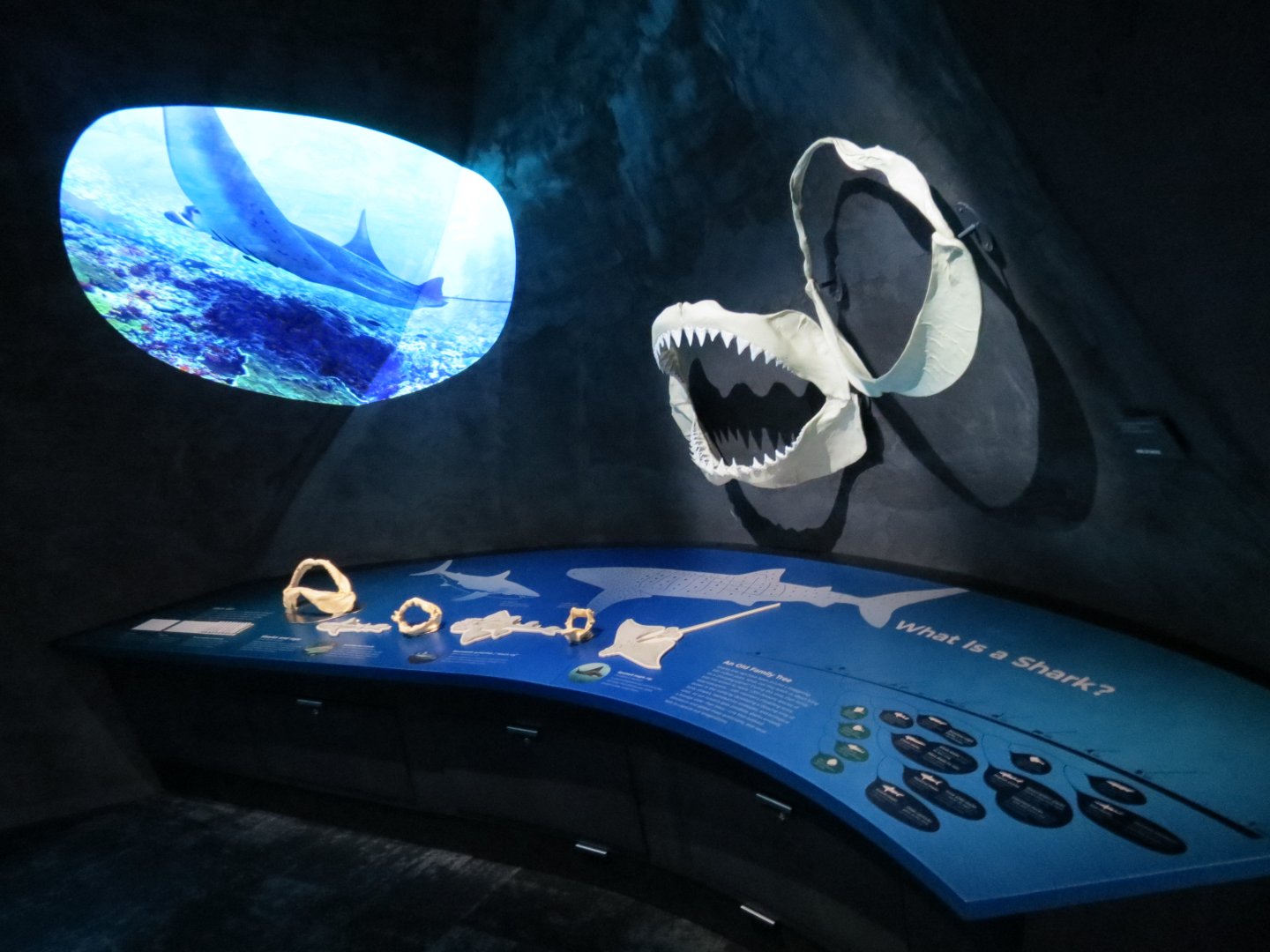 Ocean Pavilion - Lower Level Infographics