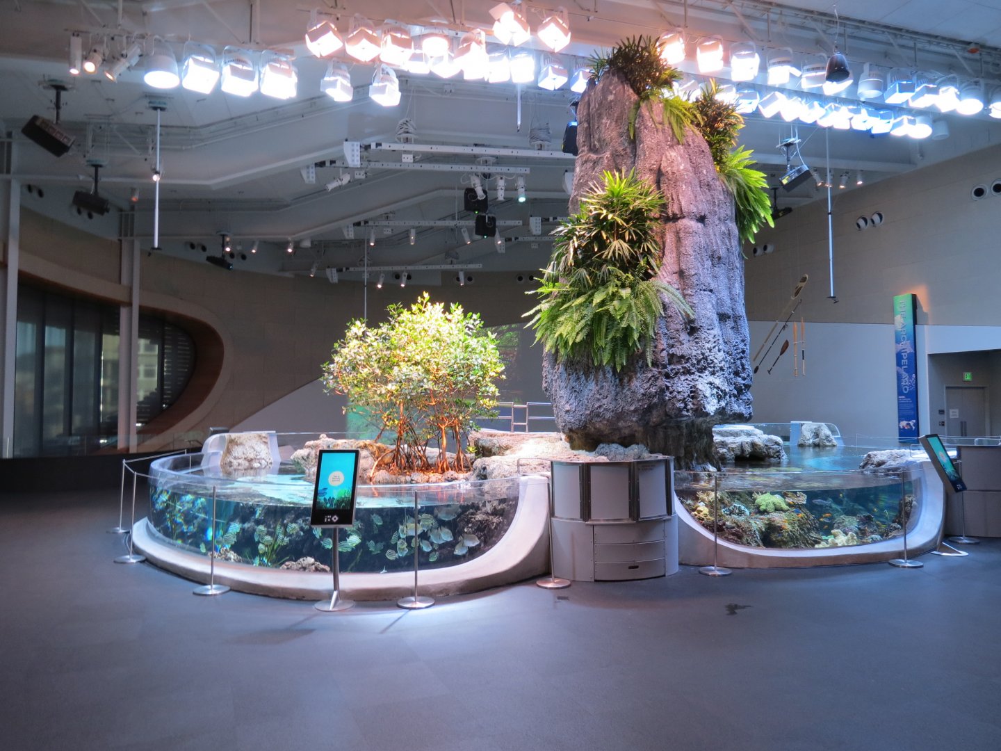 Ocean Pavilion - Mangroves and Coral Reef Exhibits