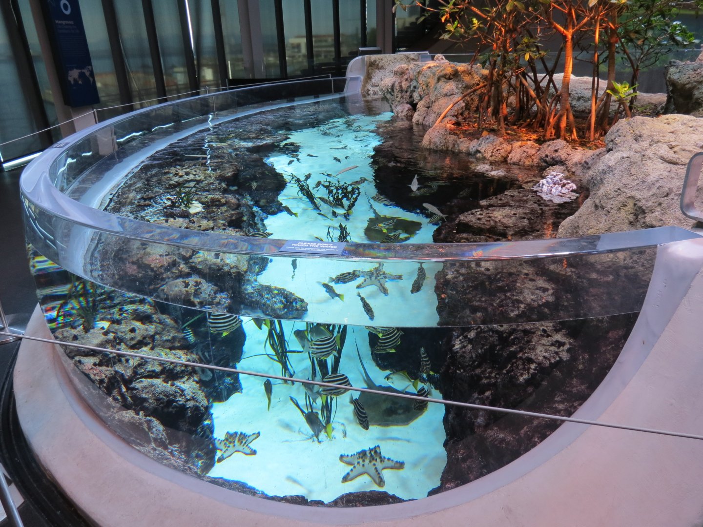 Ocean Pavilion - Mangroves Exhibit