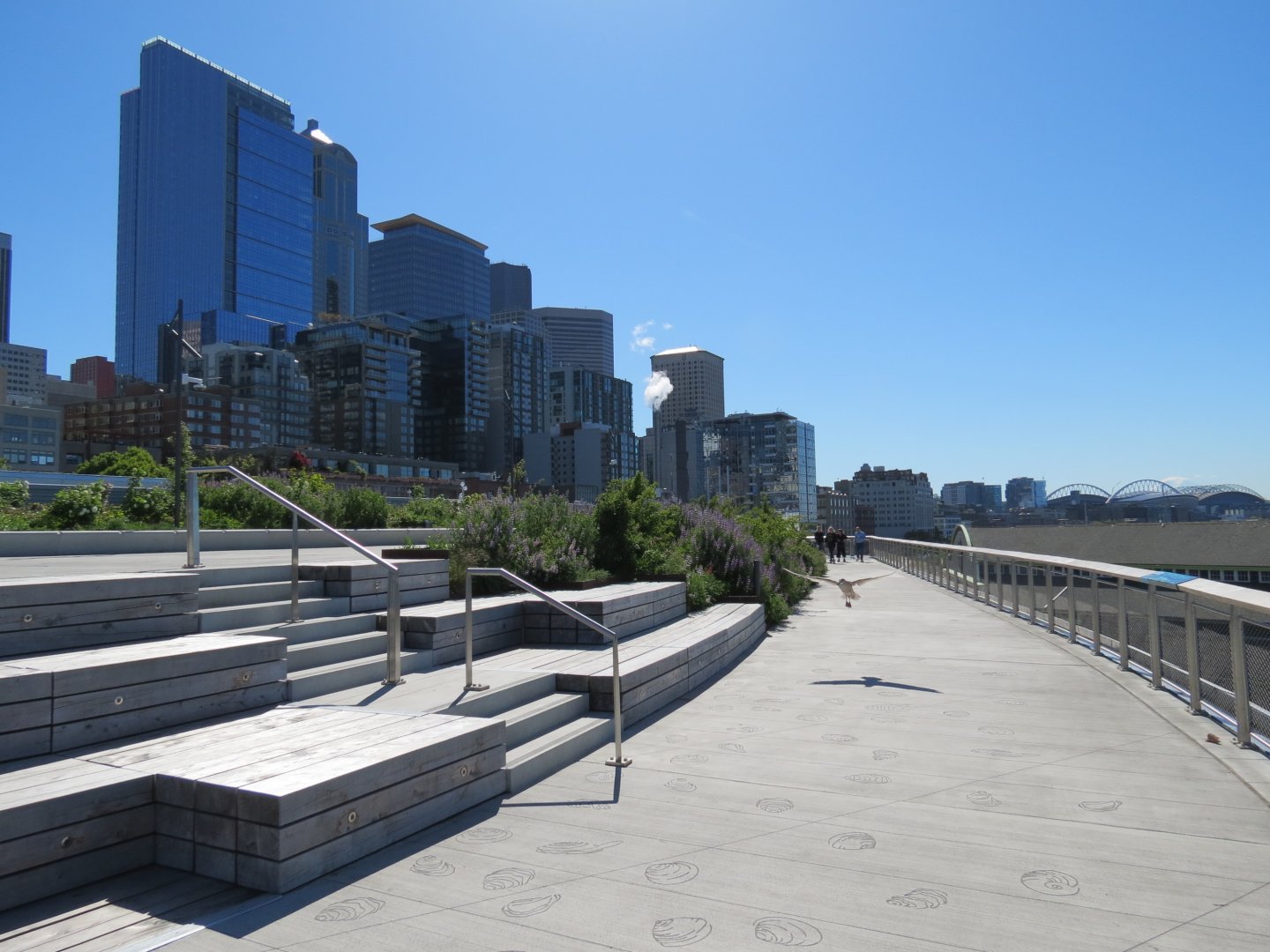Ocean Pavilion - Public Access Rooftop Seating Area