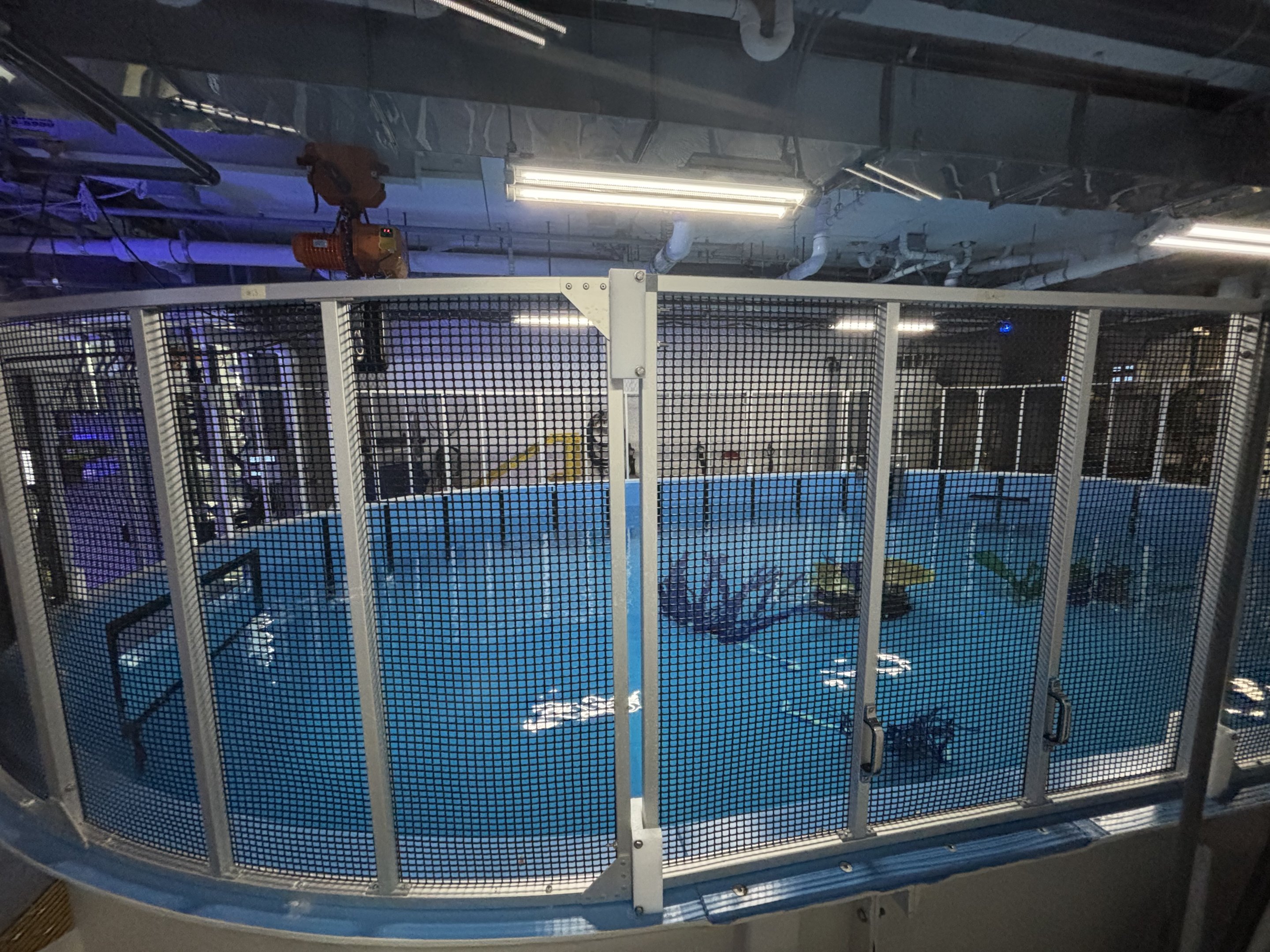 Ocean Pavilion - Quarantine Pool