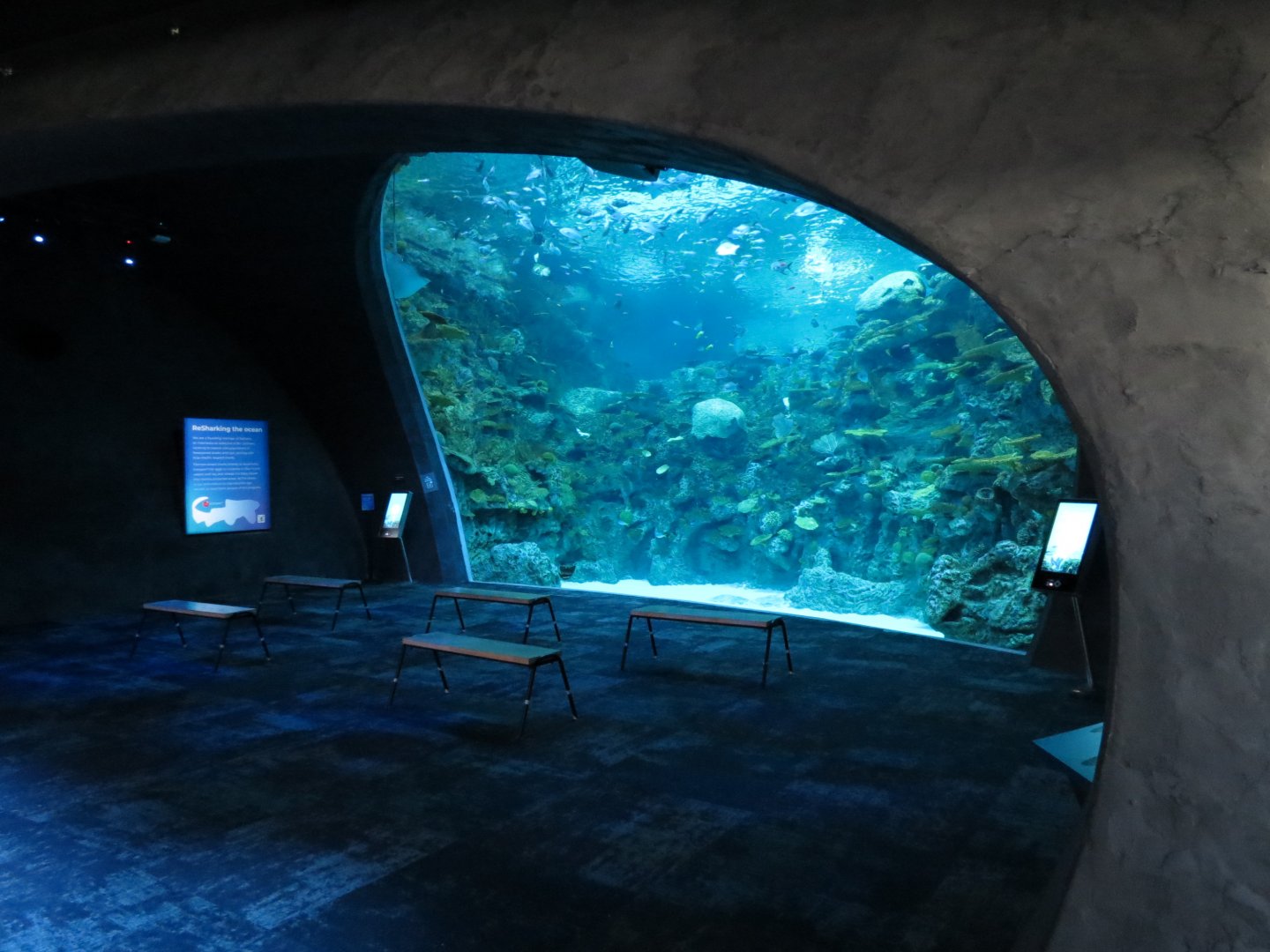 Ocean Pavilion - The Reef Exhibit - Lower Level View