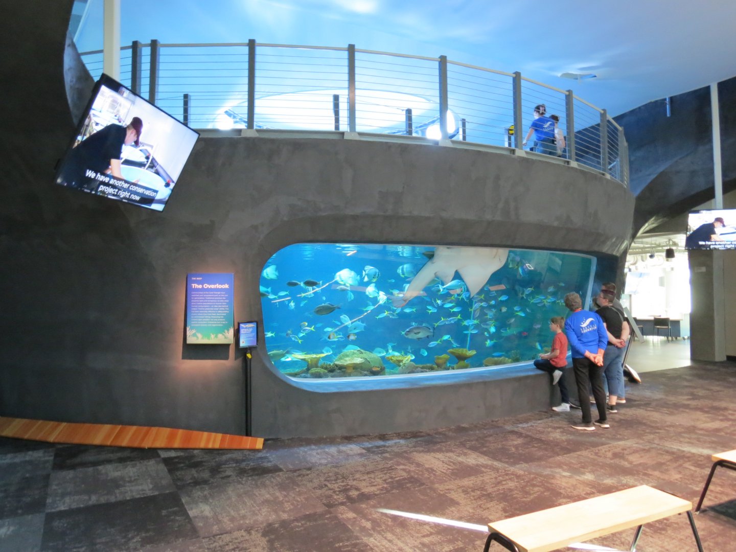 Ocean Pavilion - The Reef Exhibit - Overlook View