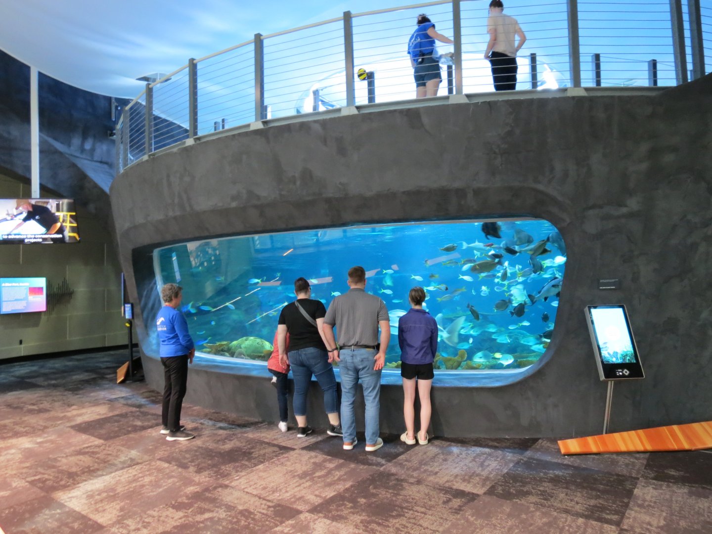 Ocean Pavilion - The Reef Exhibit - Overlook View