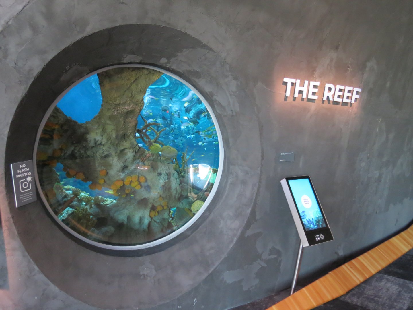 Ocean Pavilion - The Reef Exhibit - Refuge View