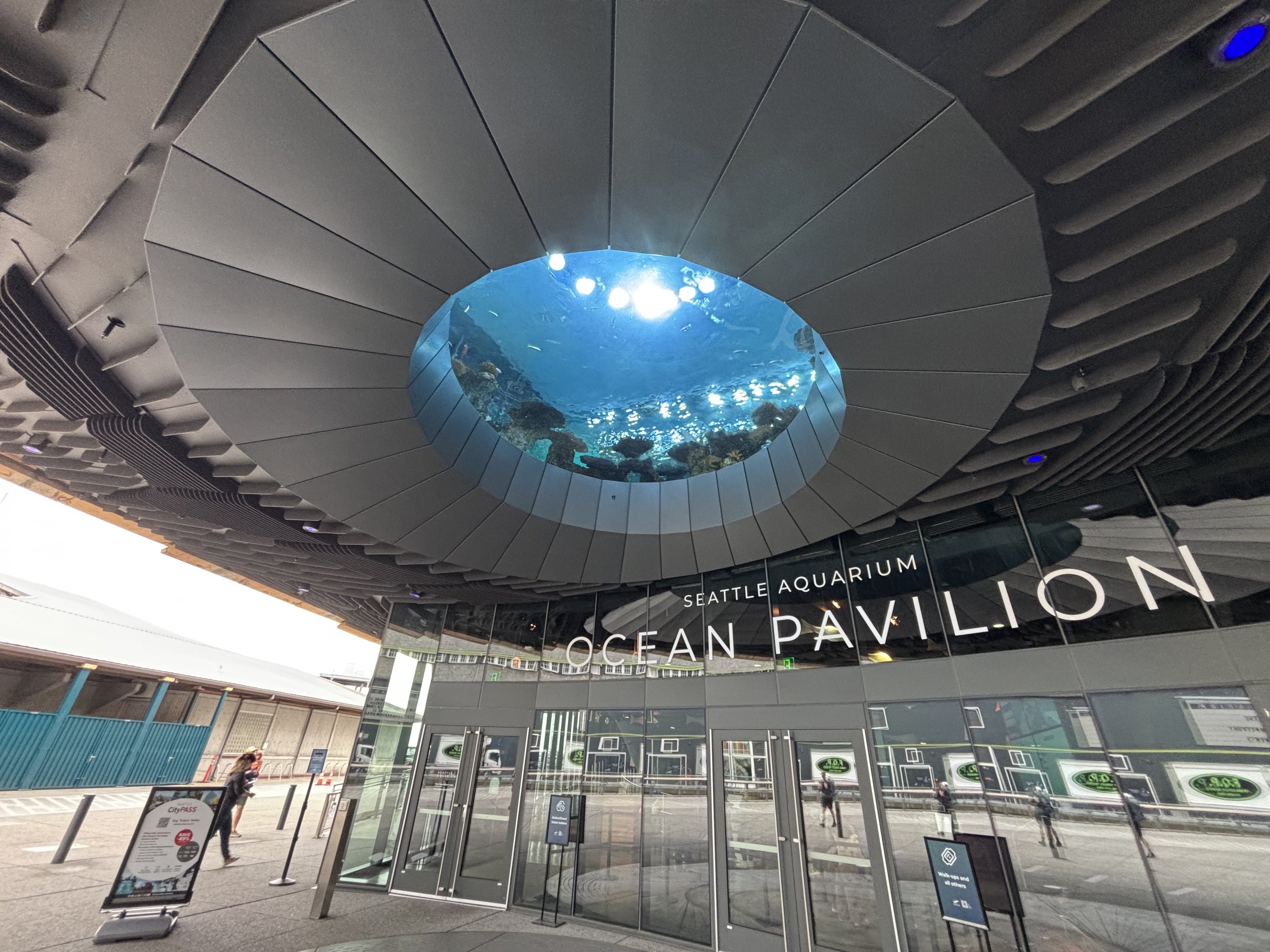 Ocean Pavilion - The Reef Oculus Window